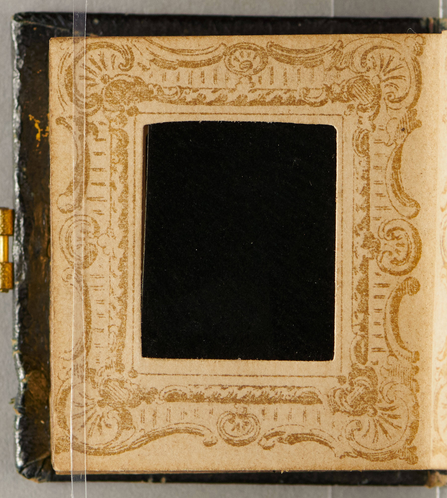 Portrait Album of Gem Photographs | Isabella Stewart Gardner Museum