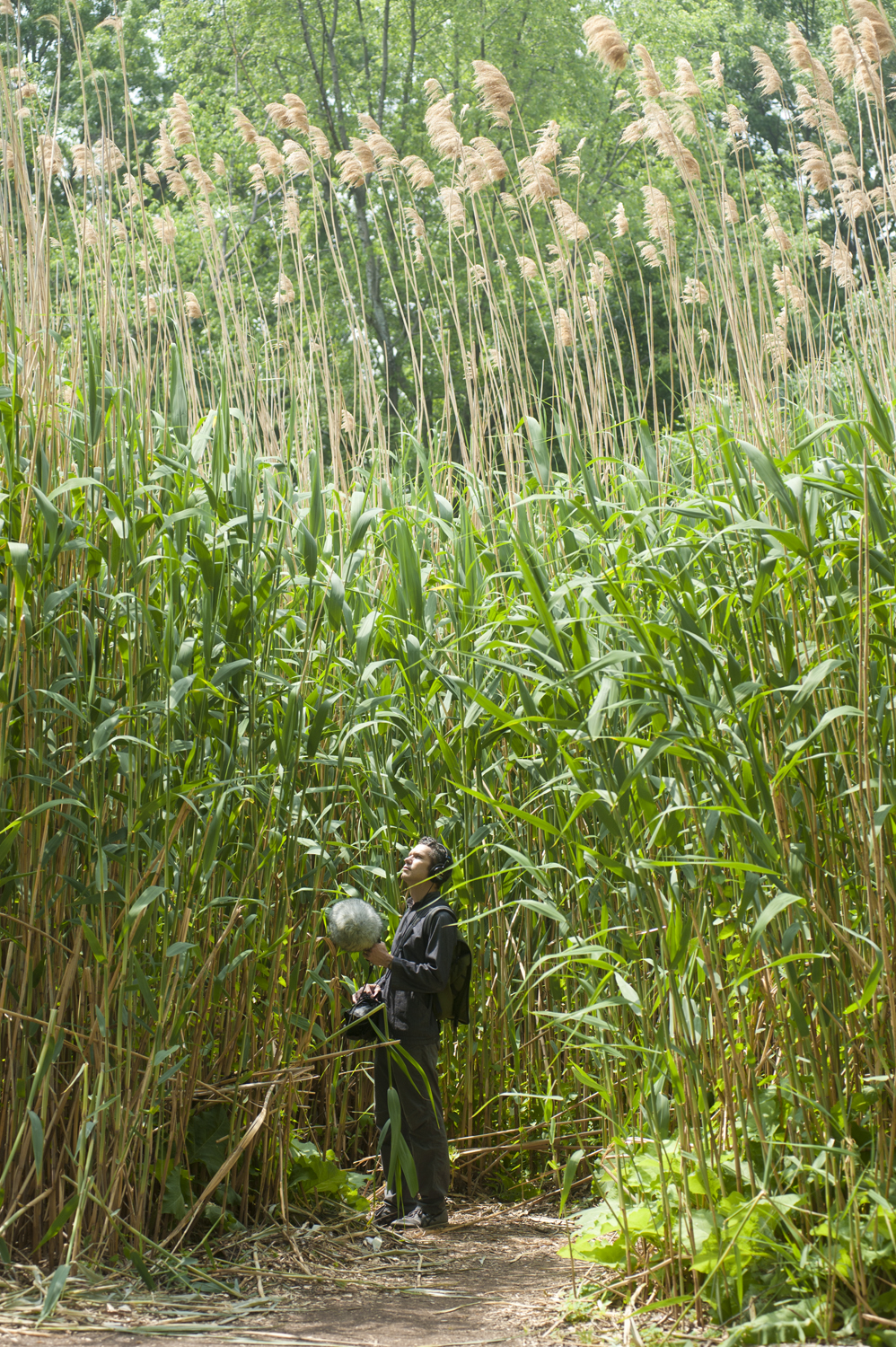 Ernst Karel | Fens, 2017, Photo: George Bouret