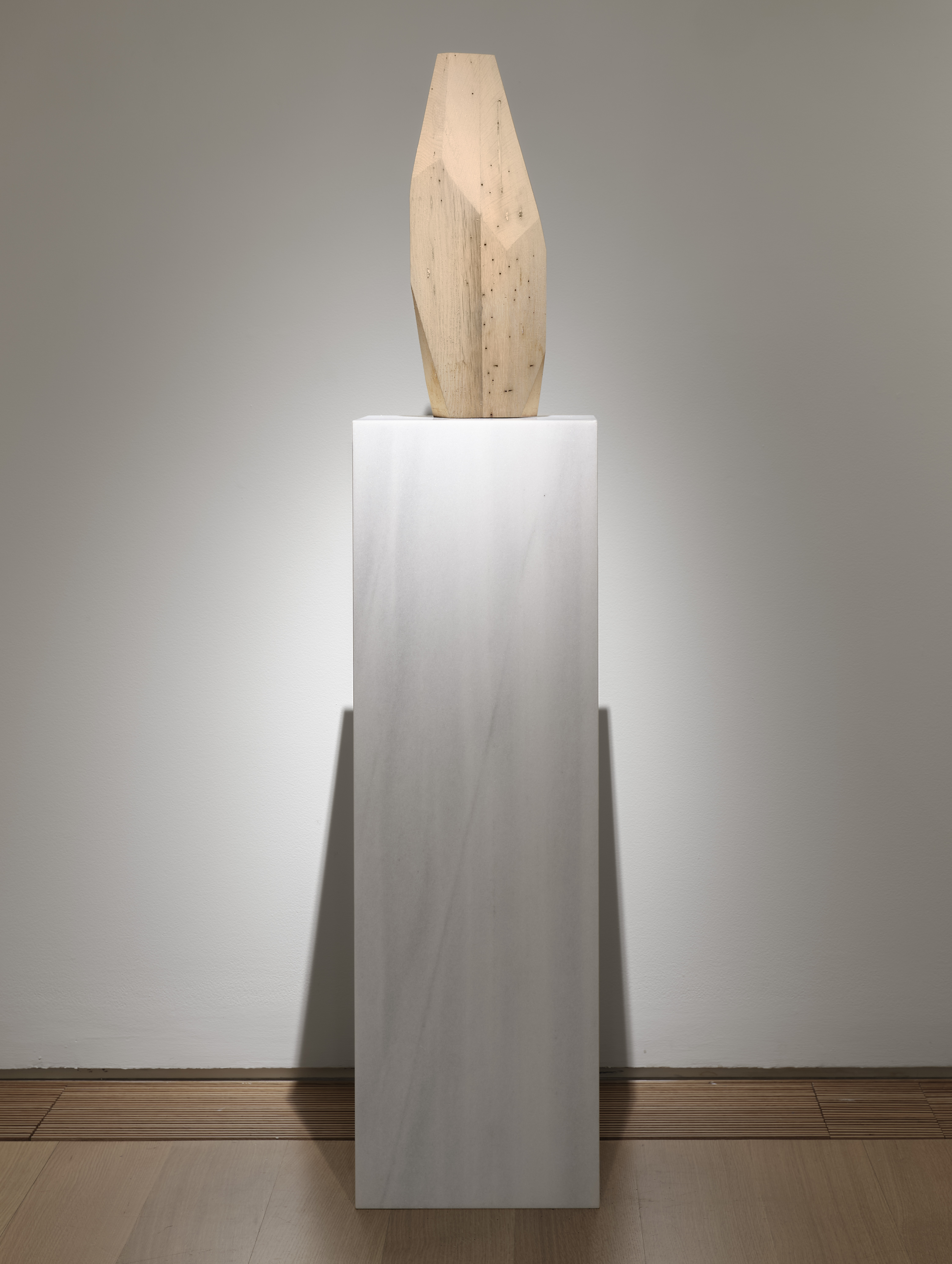 Wood, oyster mushrooms Pleurotus ostreatus, marble.