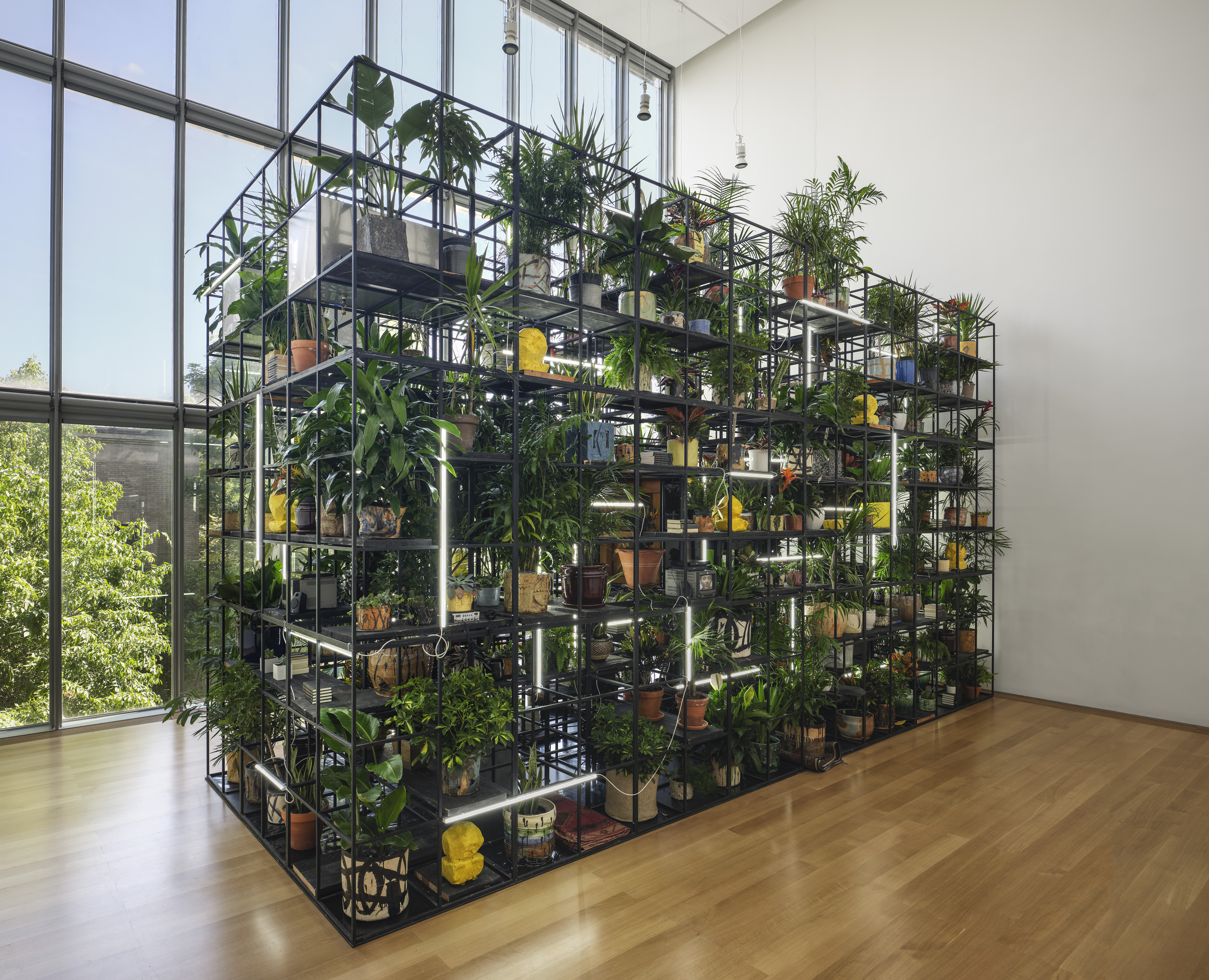 Wall of plants.