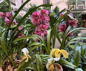 Photo of plants. 