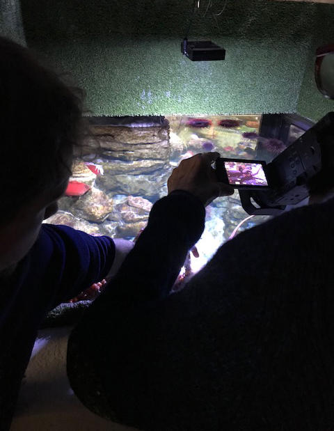Joan Jonas filming at the New England Aquarium, 2018.