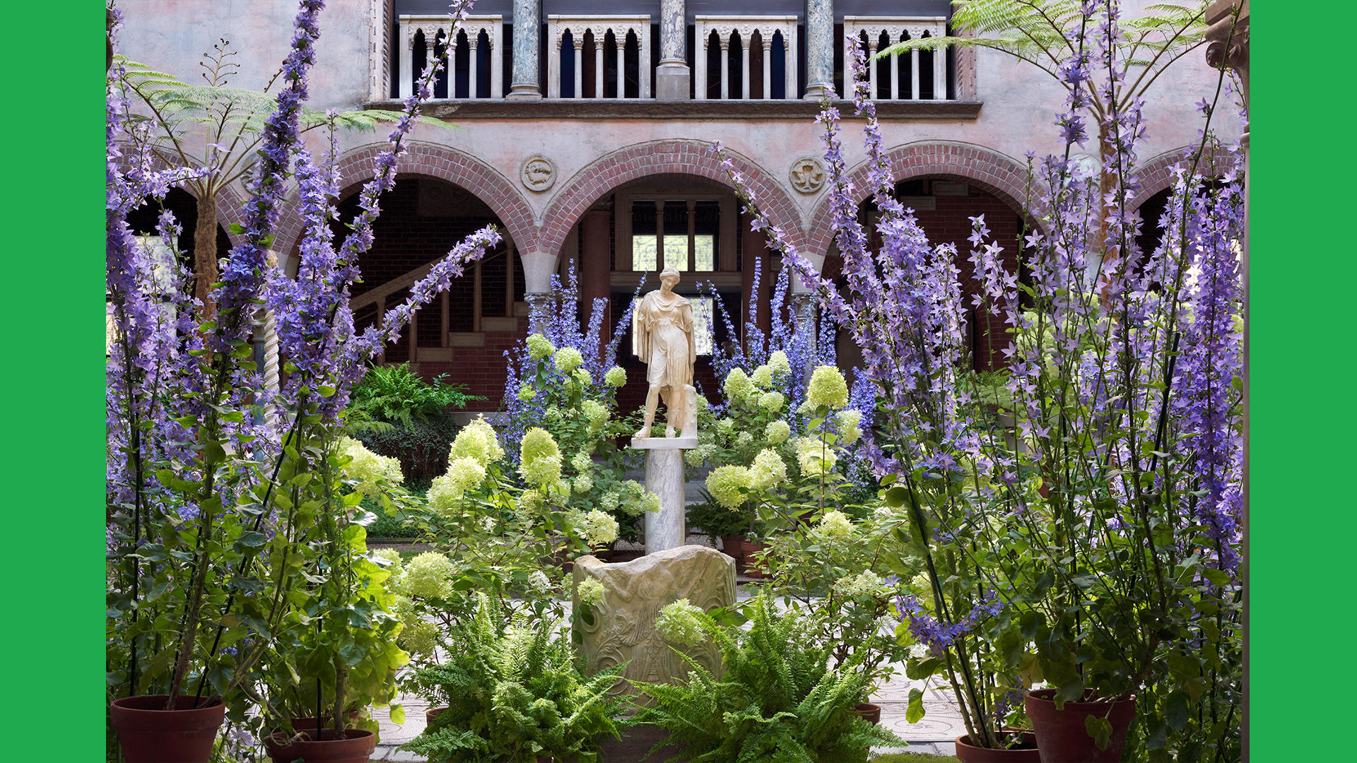 The Campanula display, photo by David Mathews.