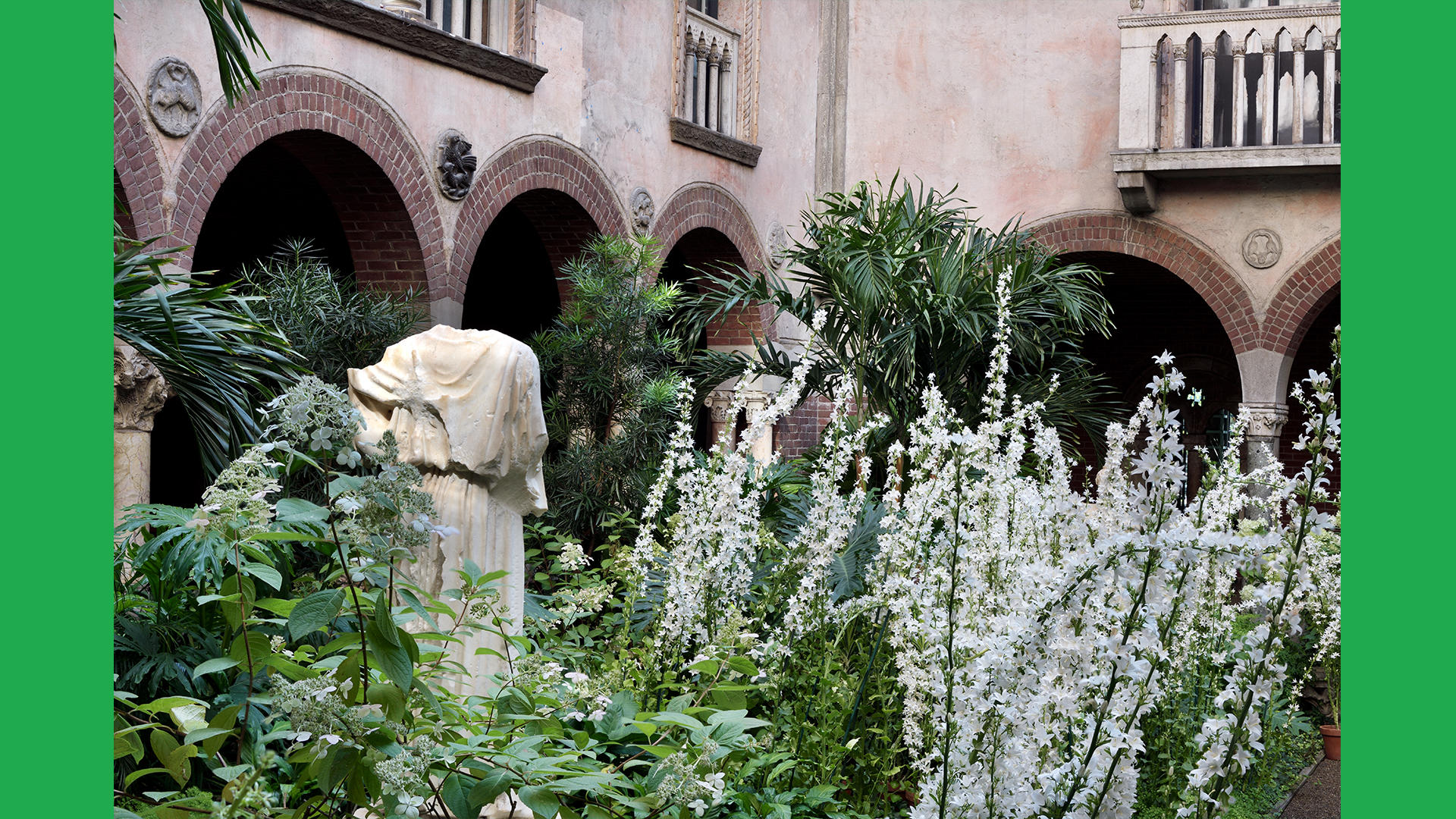 The Campanula display, photo by David Mathews