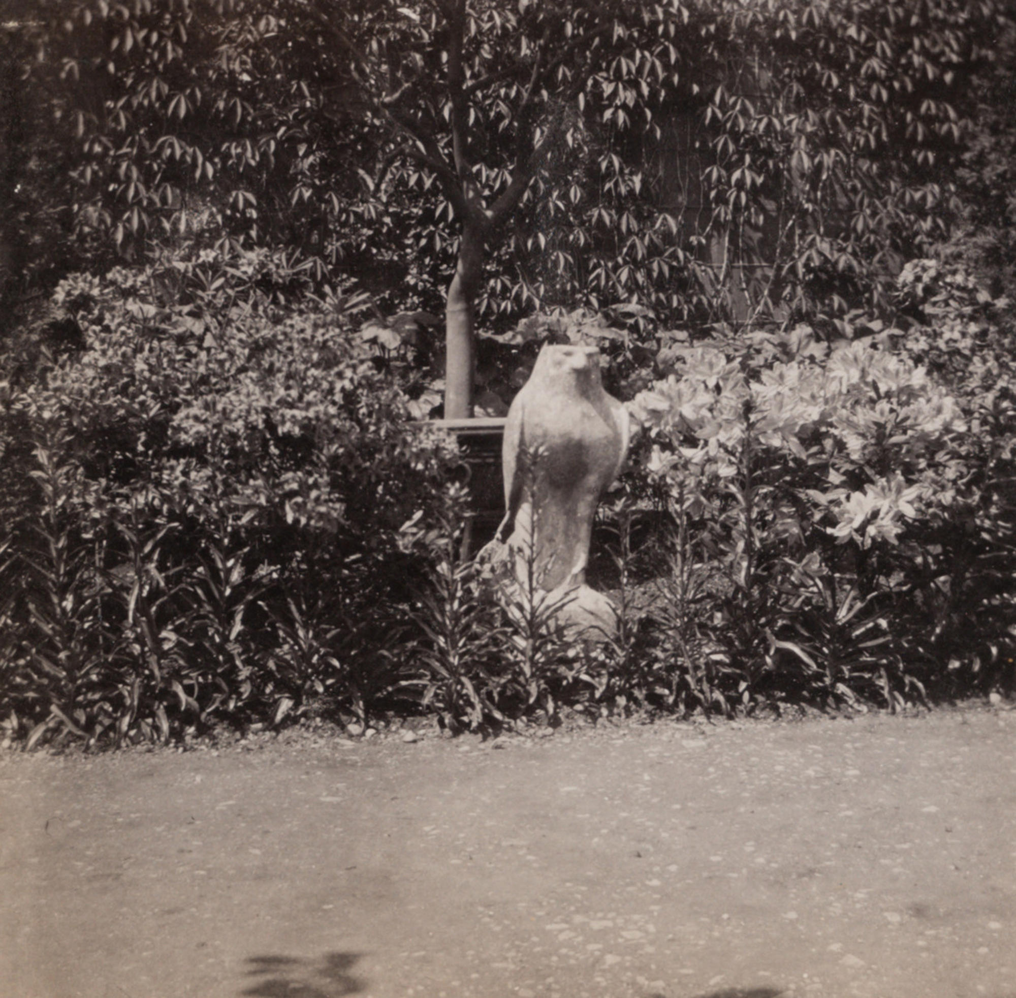 The 4th century BC, Egyptian sculpture, Horus, in the Italian Garden at Green Hill, 1898