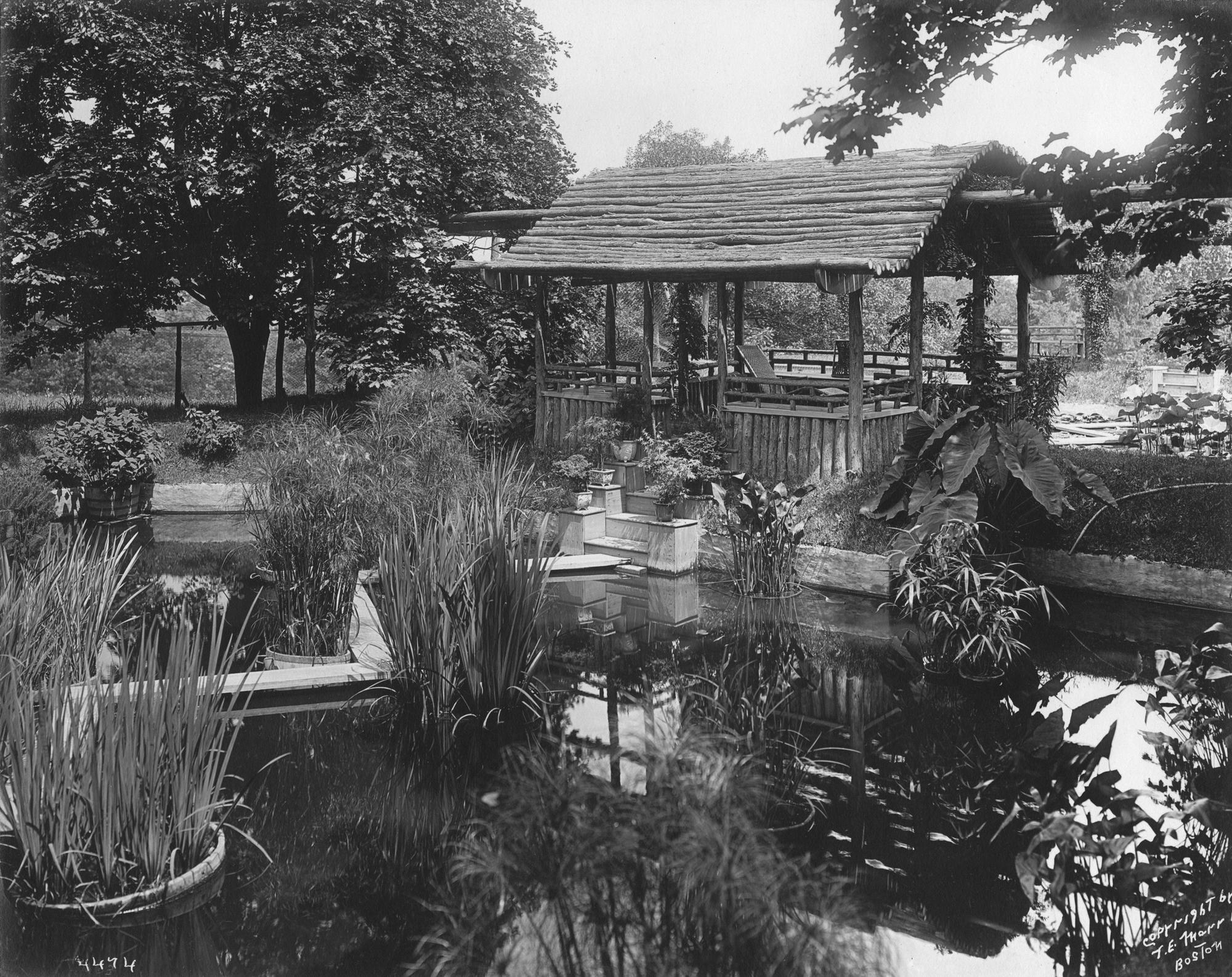 Japanese Garden at Green Hill, about 1900. Photo: Thomas E. Marr (active Boston, 1890–1910)