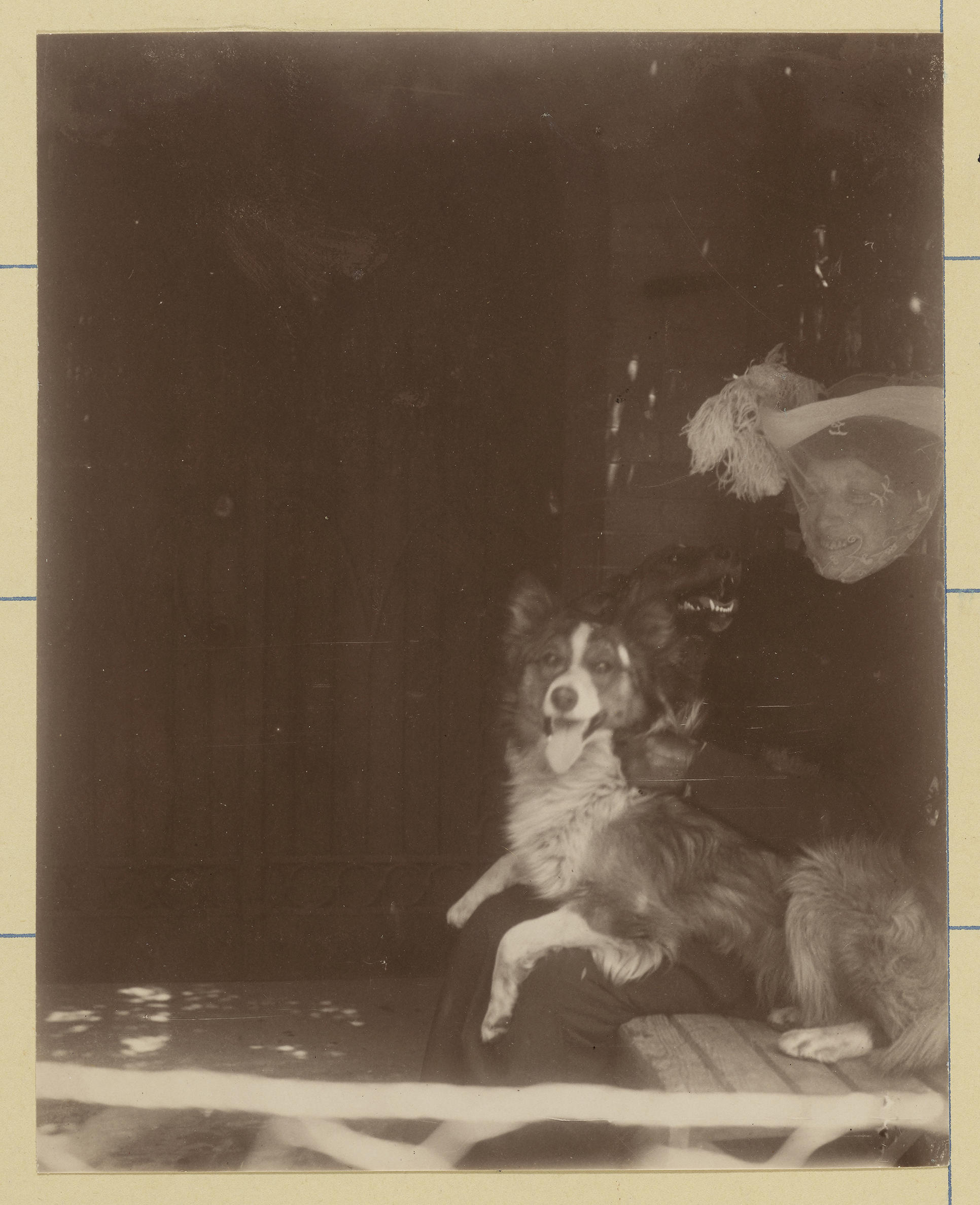 Rowley and Foxey with Isabella, From Guest Book Volume VIII, p. 40, 1907. Photo: Julia Featheringill.