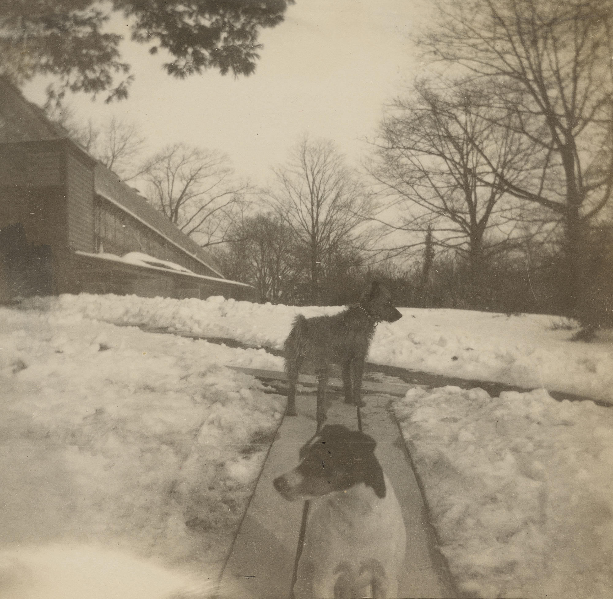 Kitty Wink and Patty Boy, from Guest Book Volume VI, Winter 1901. Photo: Julia Featheringill.