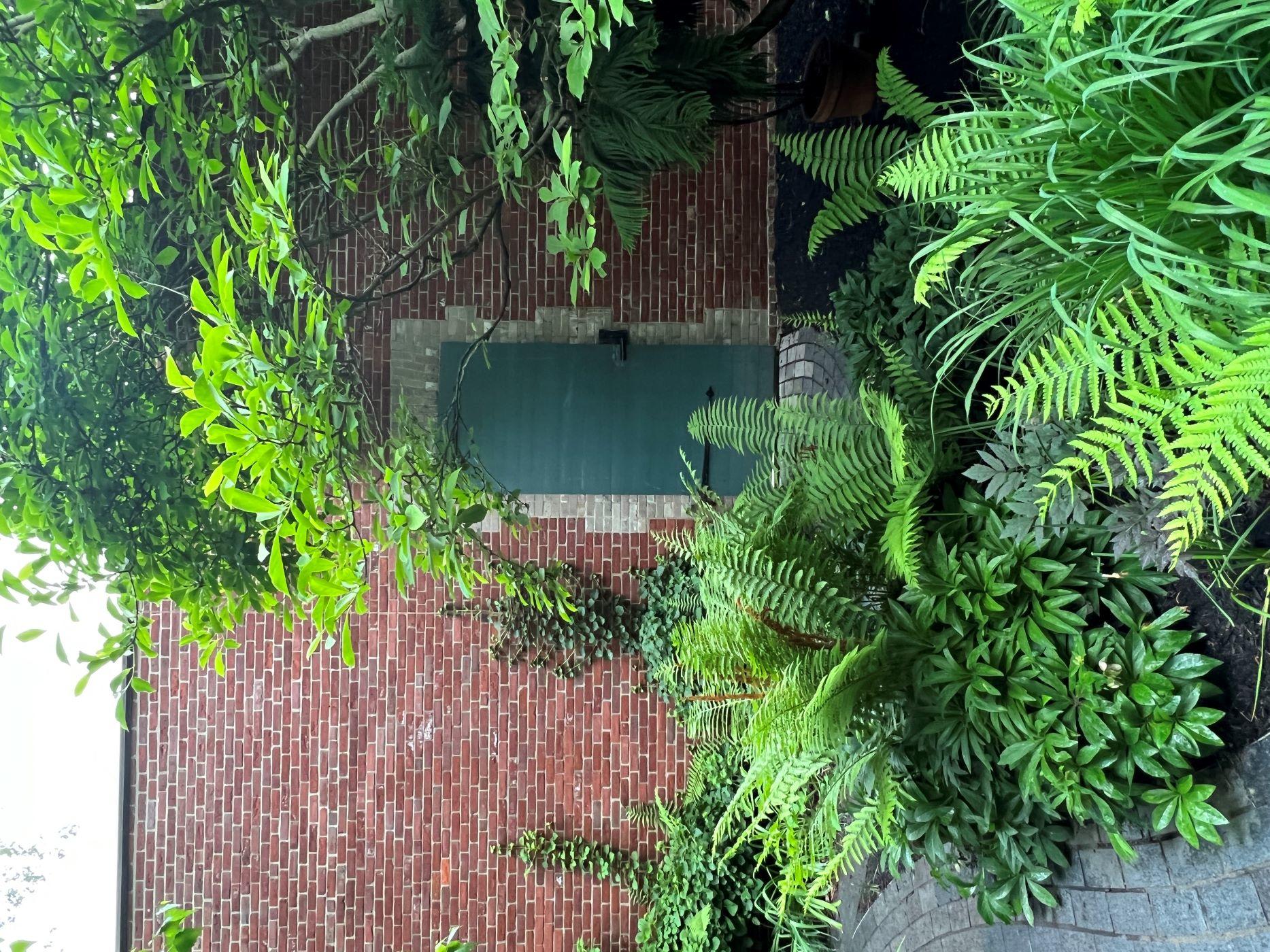 A photograph of a red brick wall with a  green door at the center, and plants throughout.