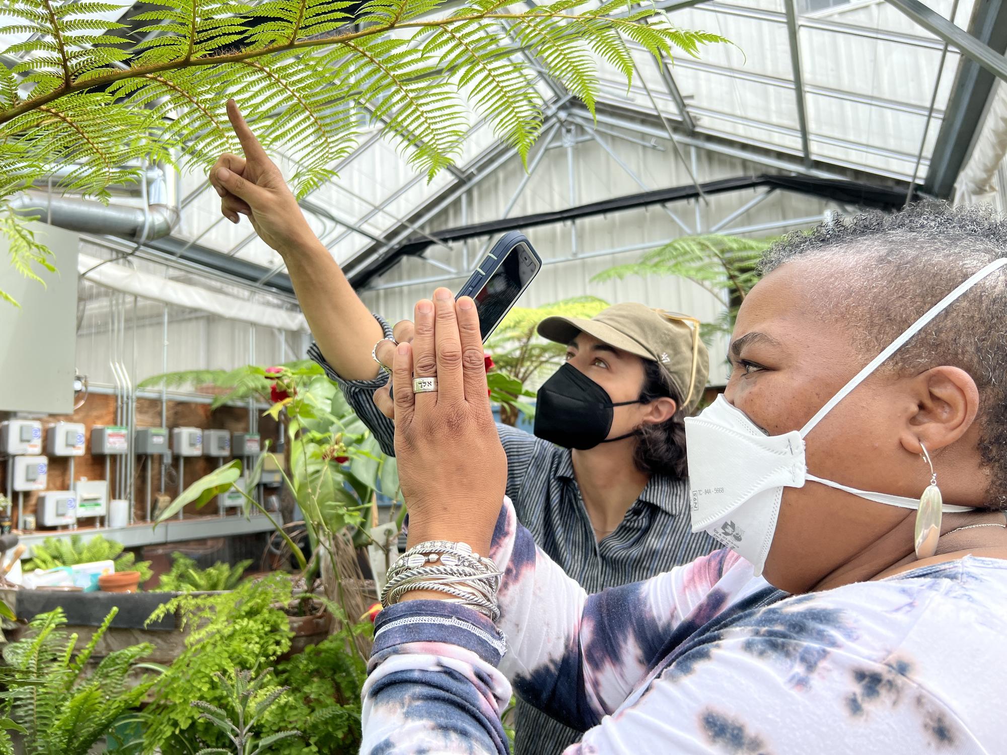 2 people looking at plants in greenhouse