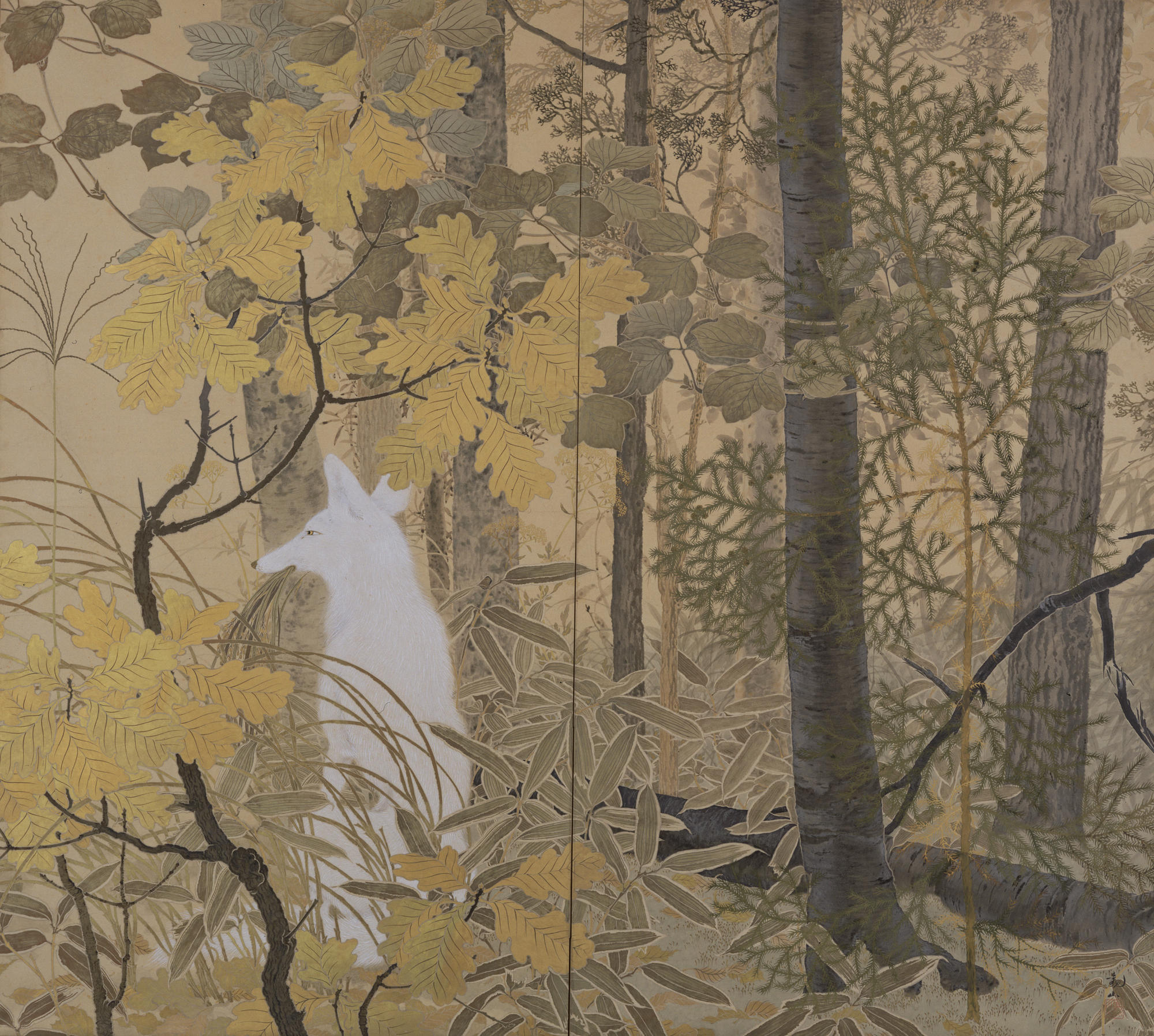 A finely drawn white fox with grass in its mouth sits in a forest surrounded by trees and gold and brown leaves.