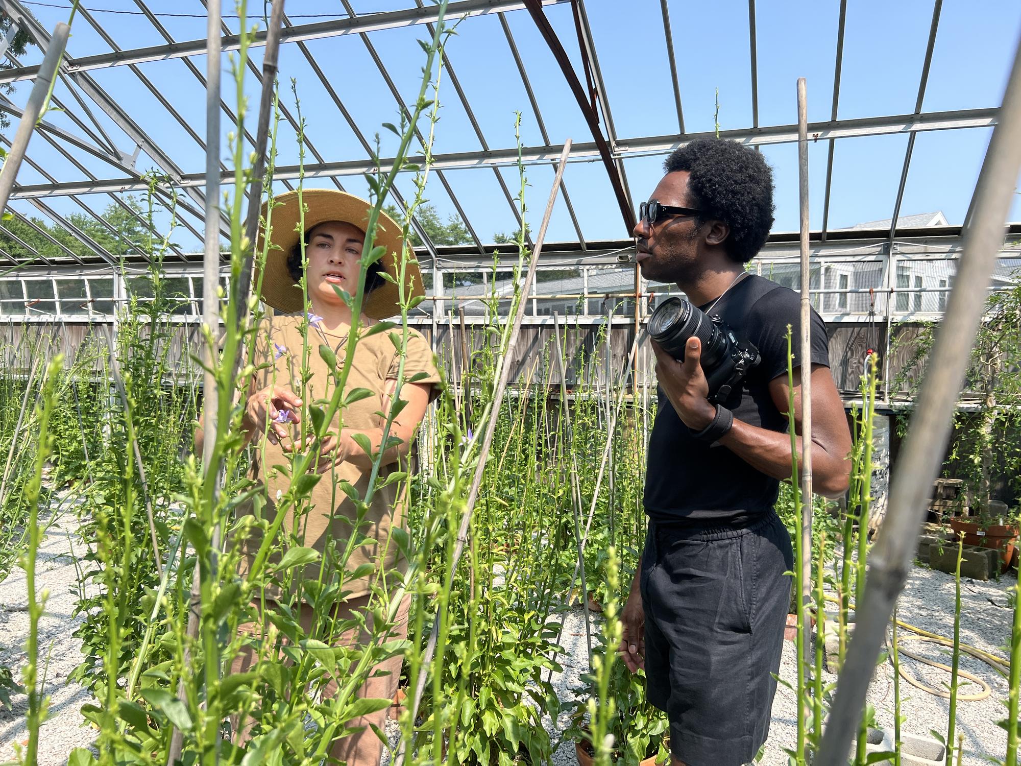 Man and woman in the greenhouse 