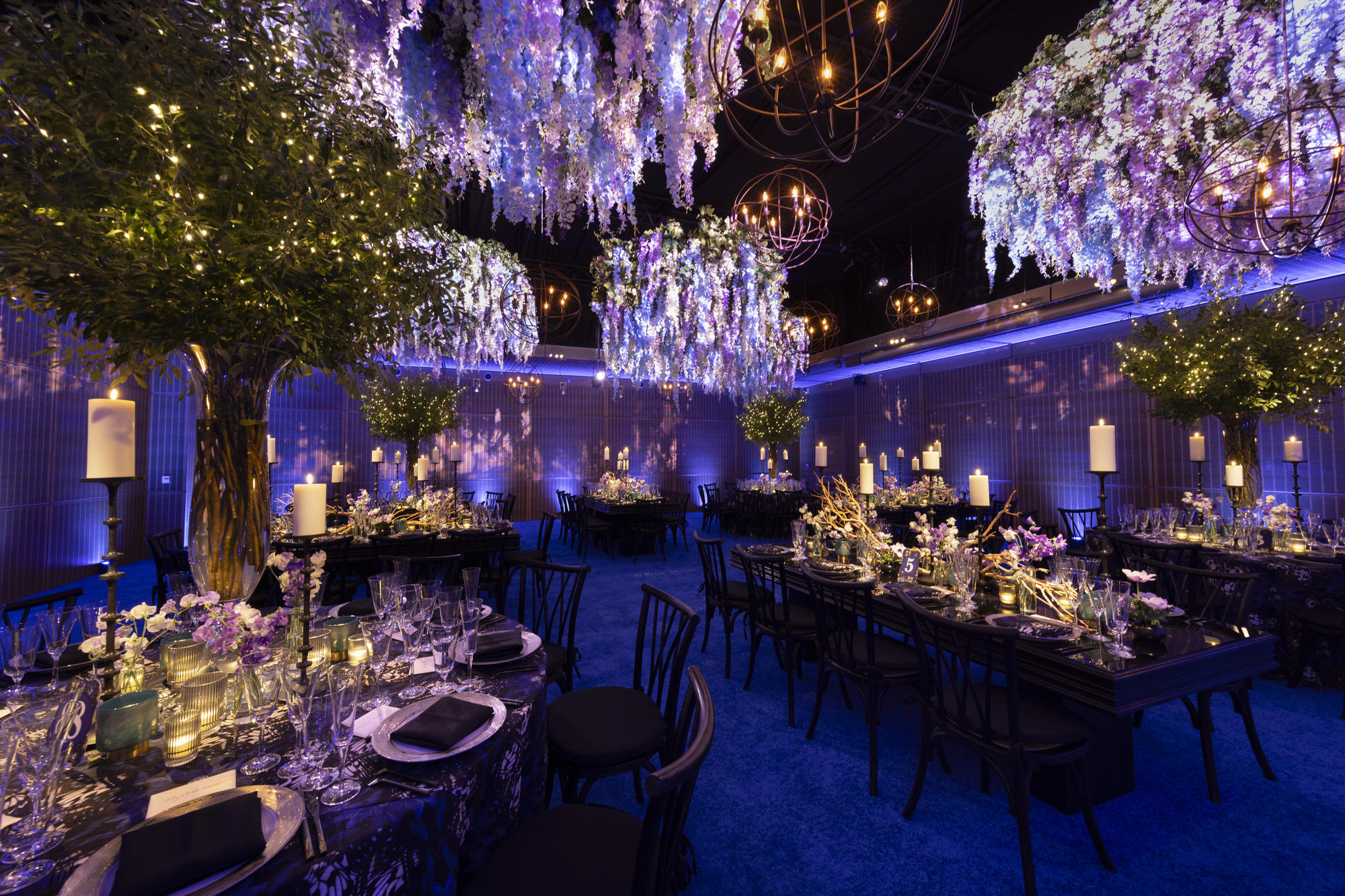 Color photograph of a room beautifully decorated with lush plants, hanging branches, tables and chairs all enveloped in a purple hue. 