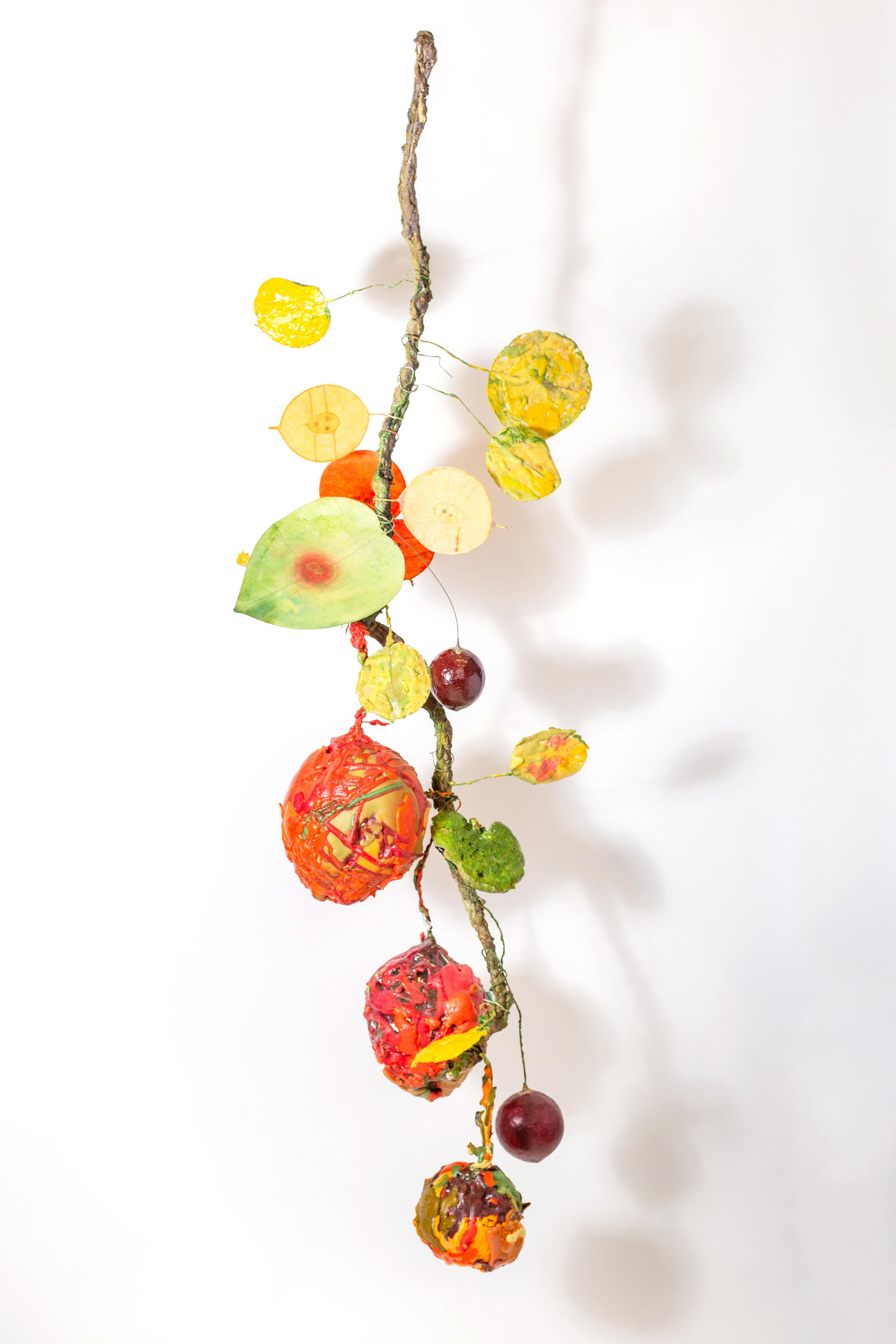 A hanging branch with leaves and seed pods
