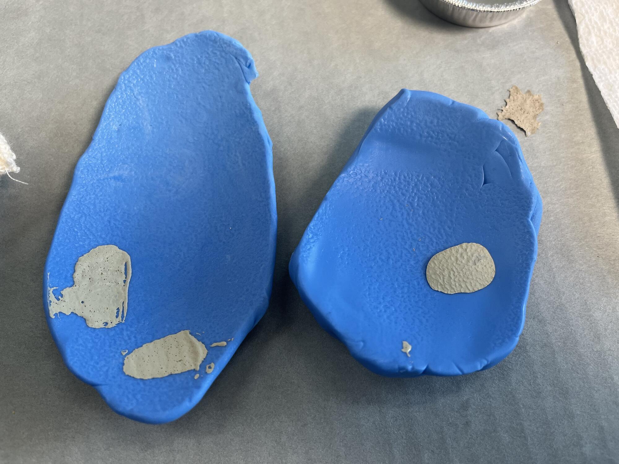  Off-white acrylic paint films in blue dental molds that capture the textured emu eggshell surface.
