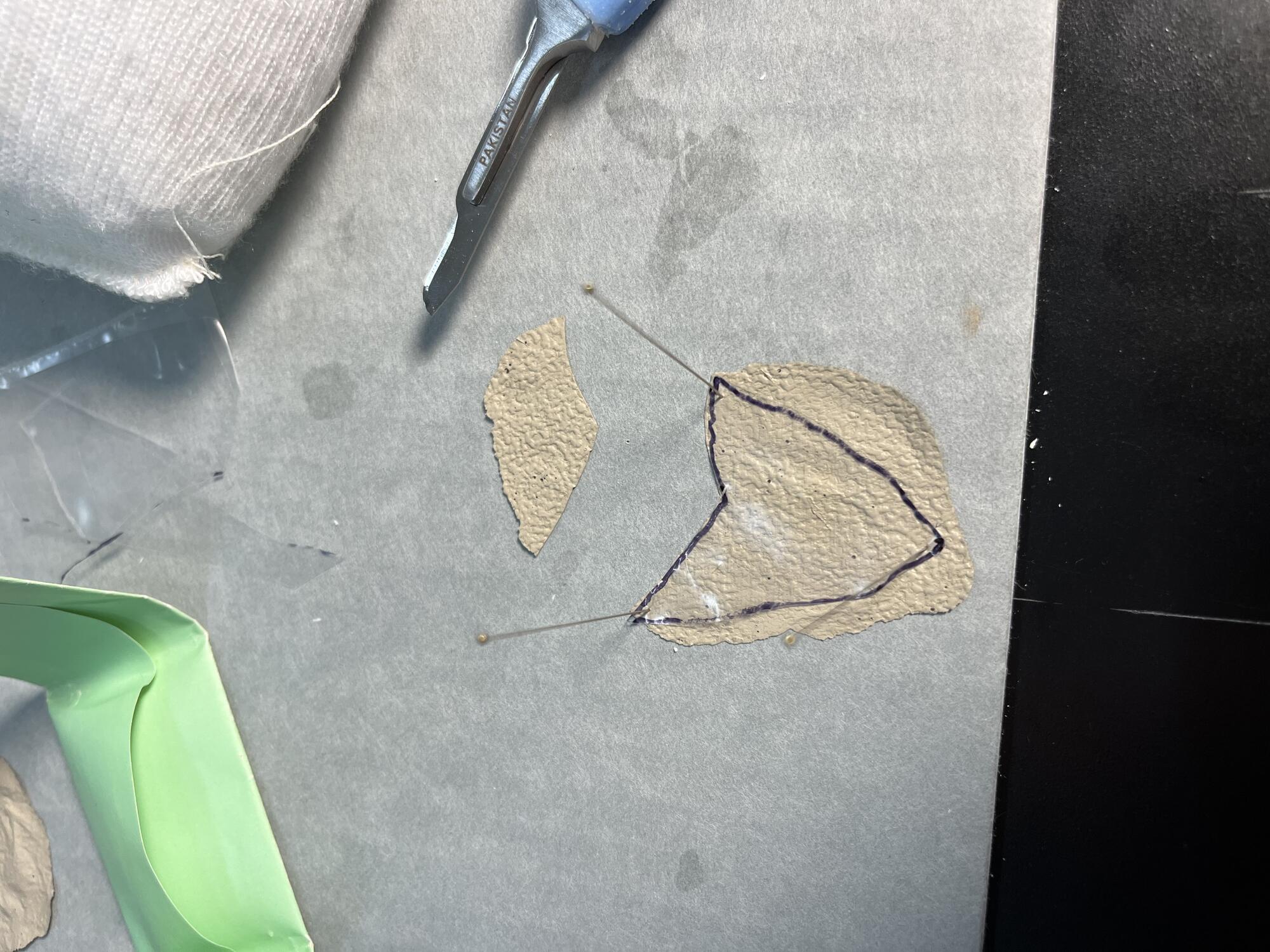  Clear Mylar overlay in shape of loss pinned on top of off-white textured paint film in preparation for cutting it to shape.