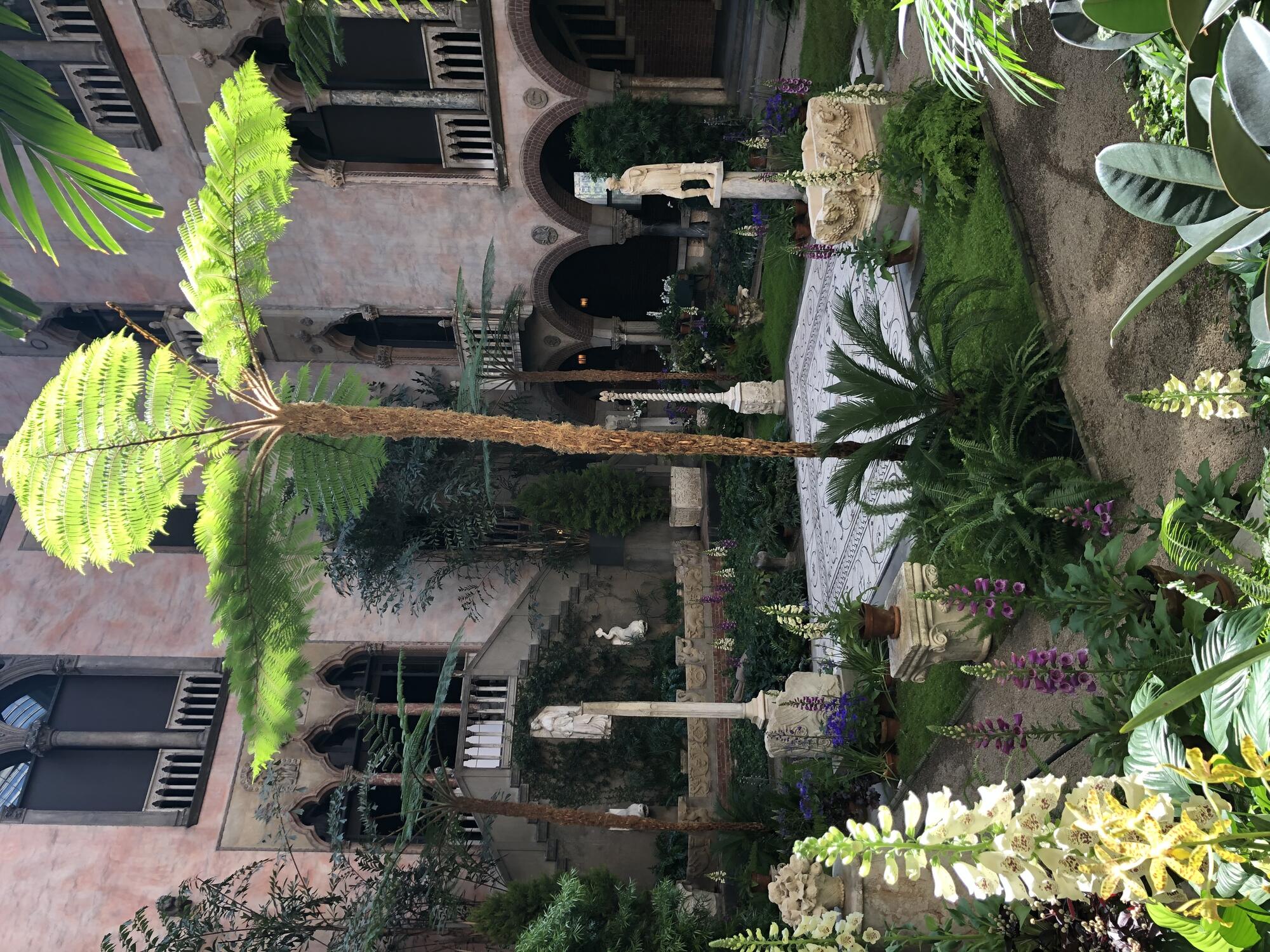 Tree ferns tower over the statues of the Gardner Museum’s Courtyard.