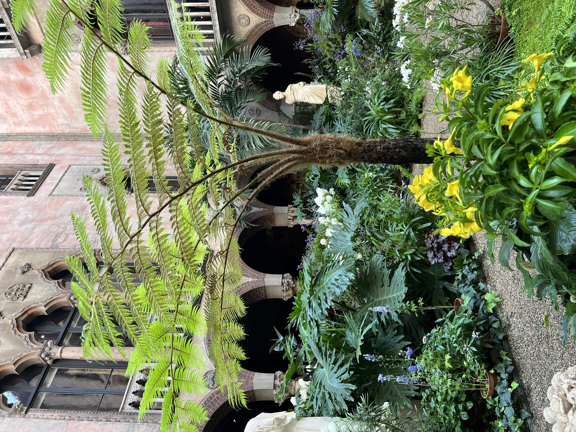 A tree fern surrounded by green foliage plants and yellow and white flowers.