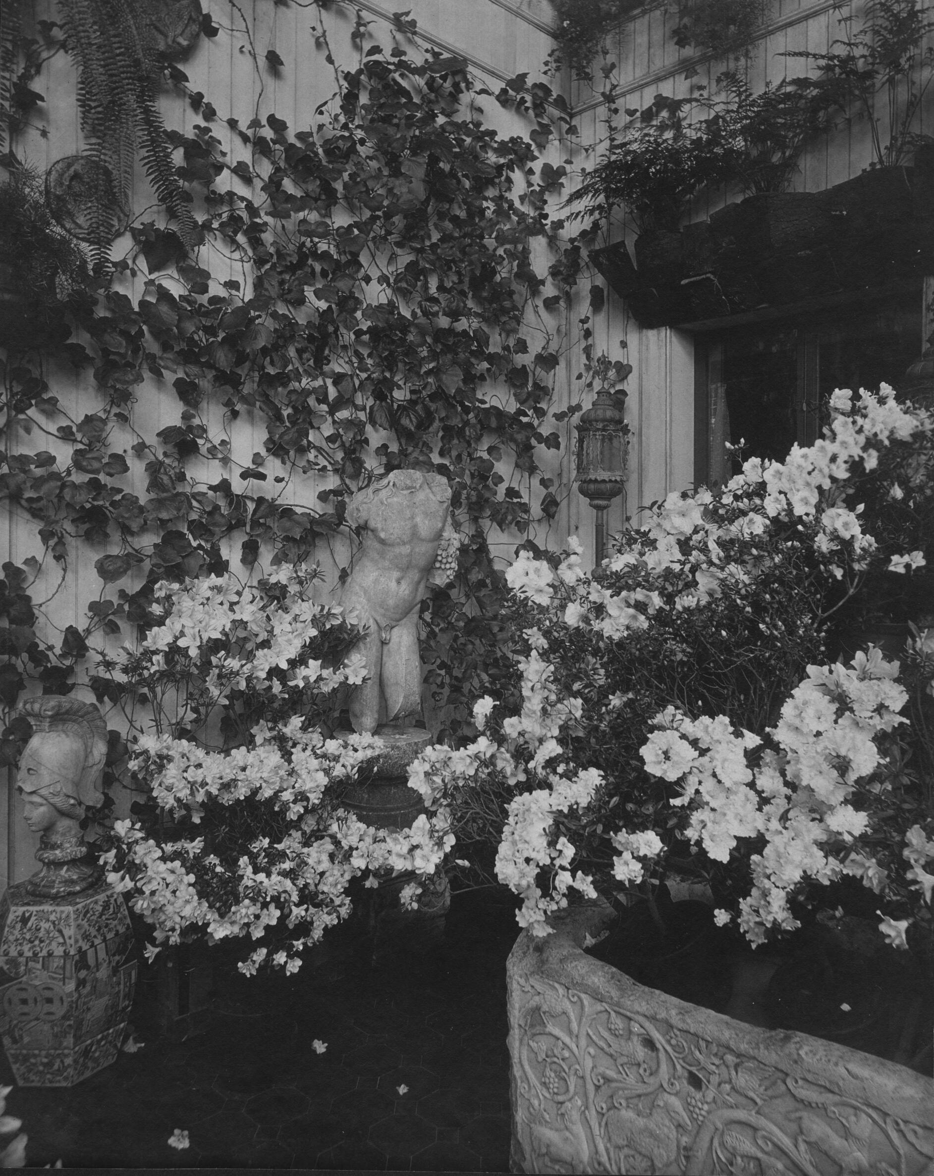  A black and white photograph of the interior of Isabella’s Conservatory, featuring a sarcophagus in the right foreground filled with white flowers, an armored bust sculpture on the left, and the torso of Dionysus in the center against a wall of leafy vines.