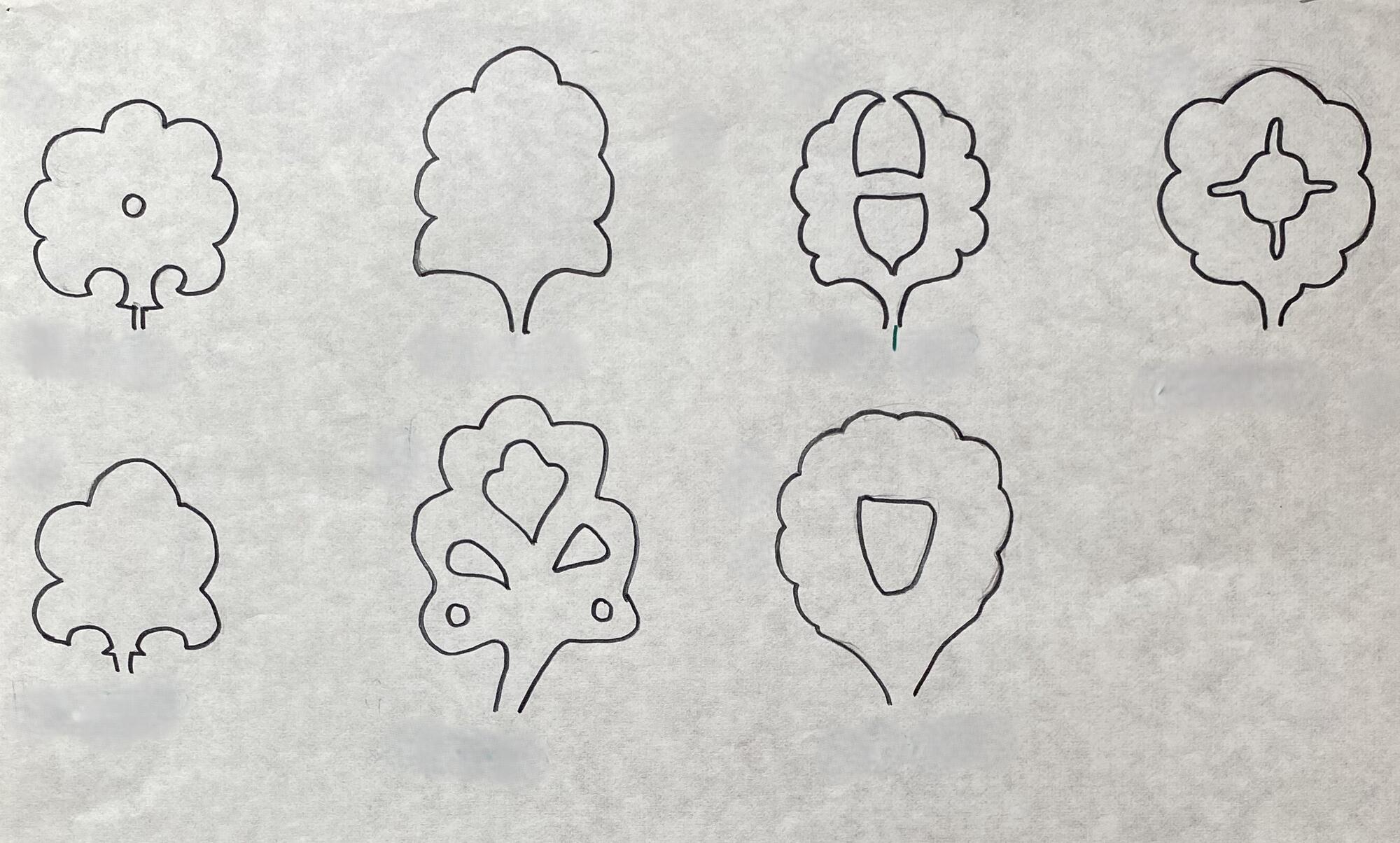  An ink drawing of seven leaf forms.