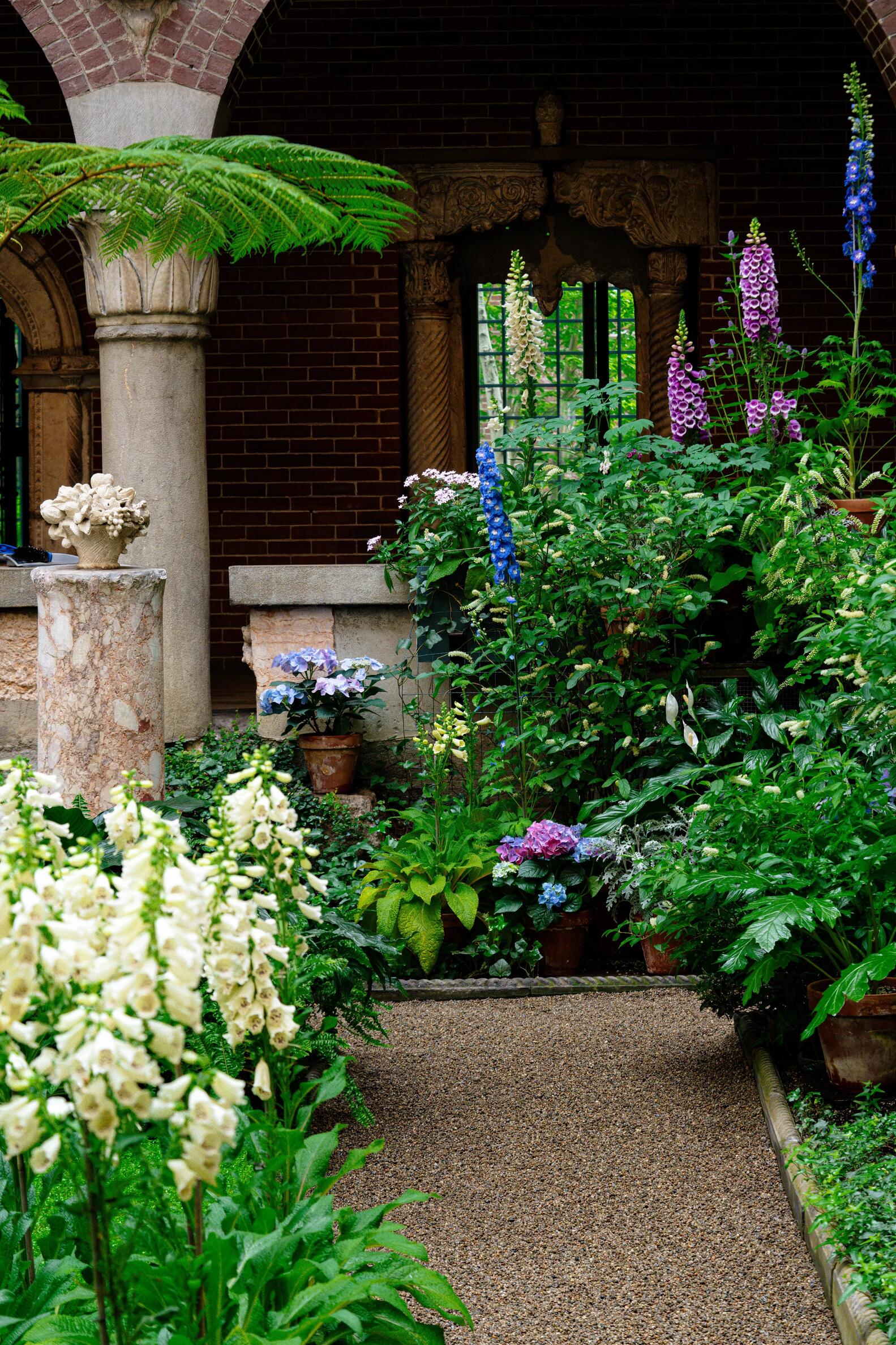 Tall stems of white, pink, purple and blue flowers surrounded by lush green plants in a corner of the Courtyard.  