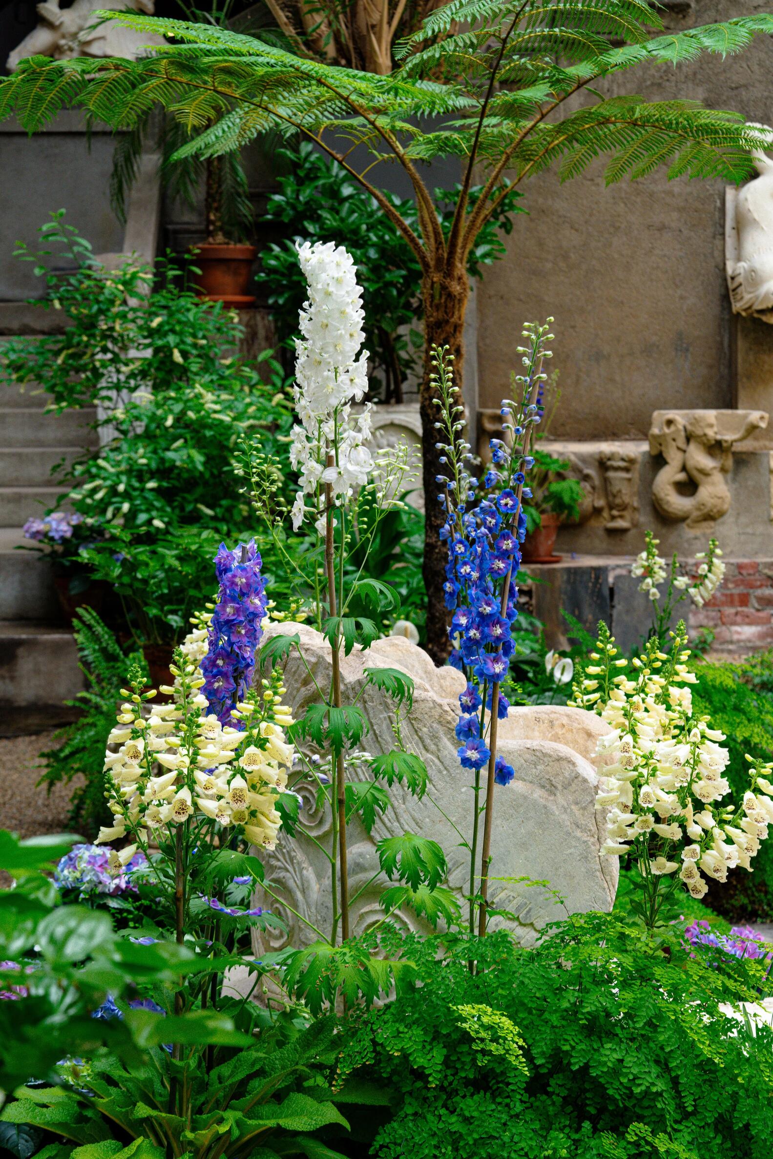Tall stems of white, purple and blue flowers surrounded by shorter green plants in front of a piece of a statue in the Courtyard