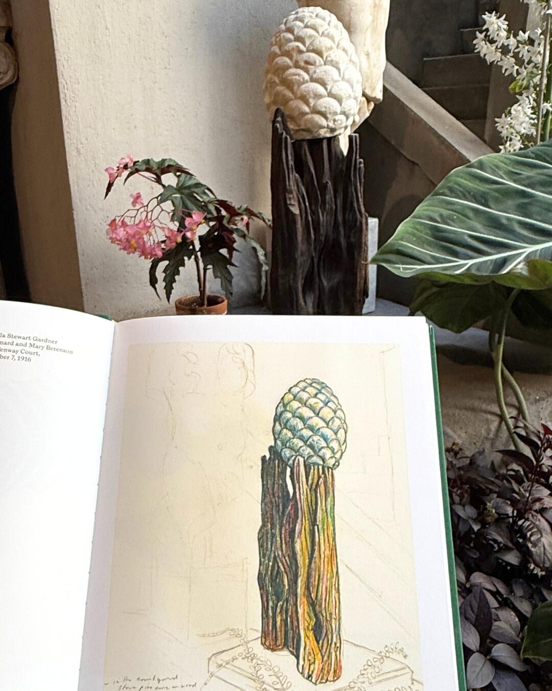 Drawing in a book of a pine cone sitting on top of a piece of wood