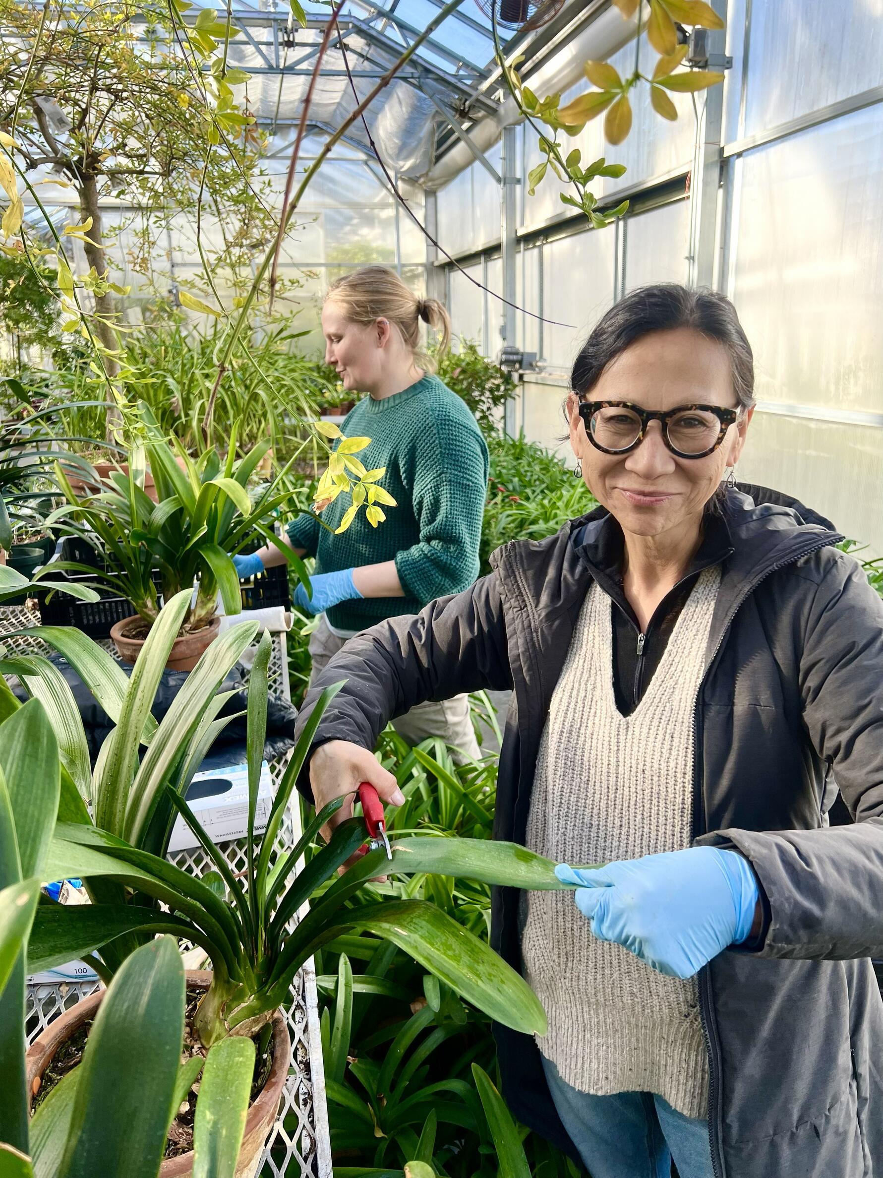 Two women in a greenhouse tending to plants. One woman looks directly at the camera in the front of the photo. 
