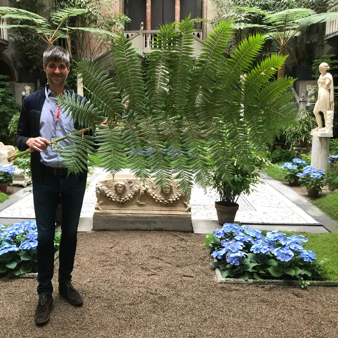 A white man with greying hair holding a large fern branch will standing in the courtyard surrounded by other plants including hydrangeas. 