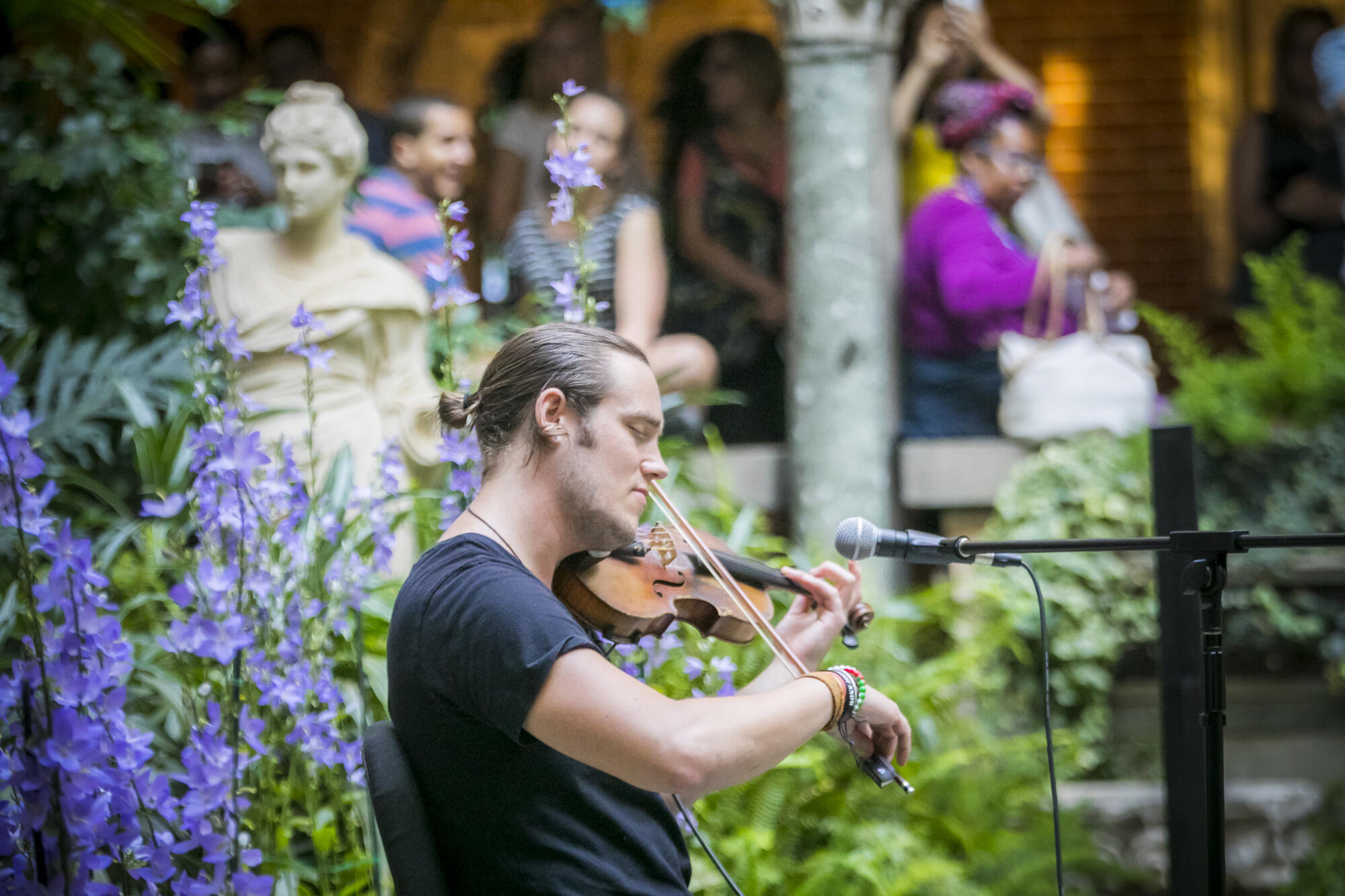Young man with a pony tail wearing a black t-shirt playing a violin in the Courtyard surrounded by lush green plants and tall purple flowers