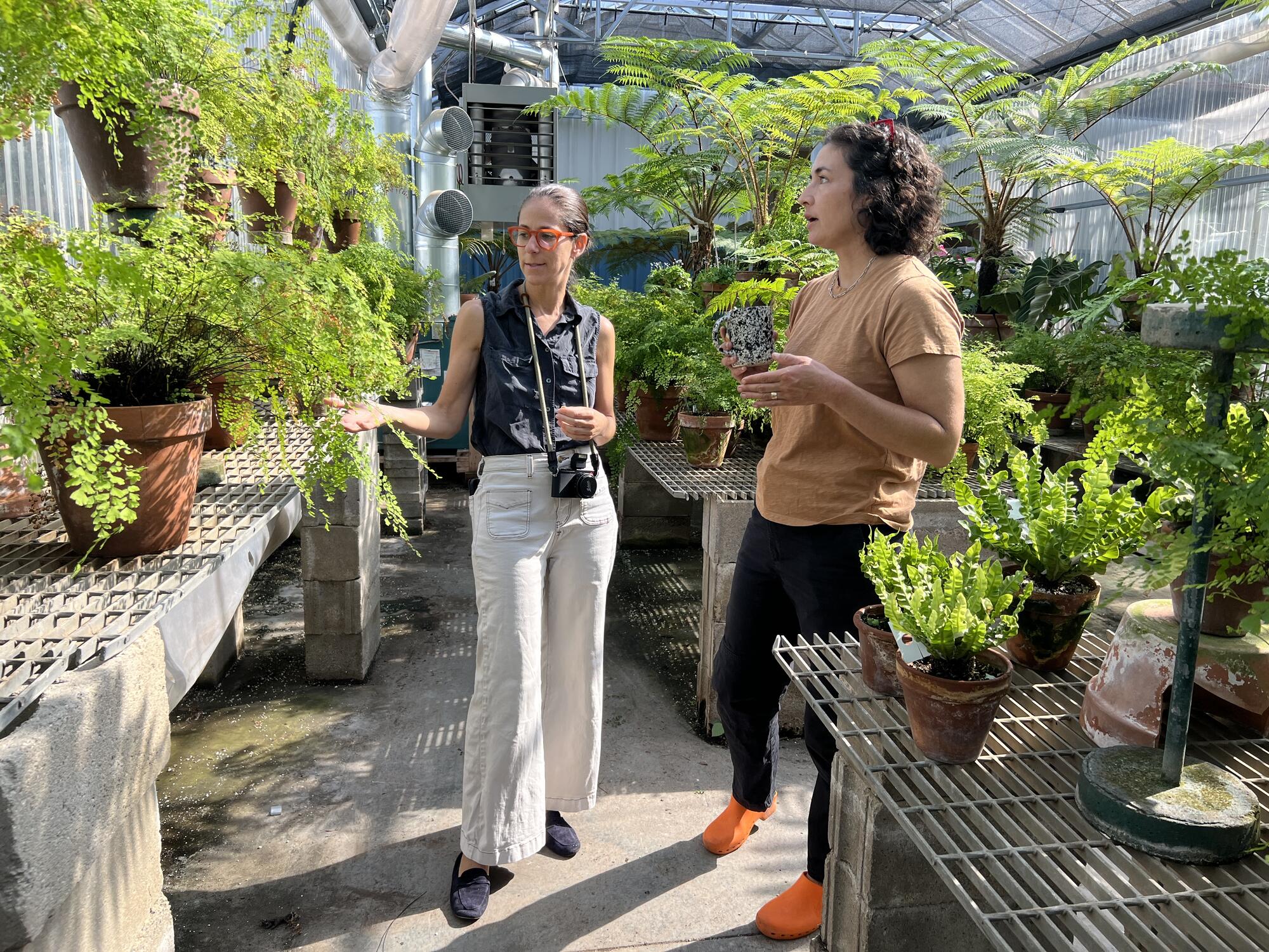A woman giving a tour of a green house to another woman.