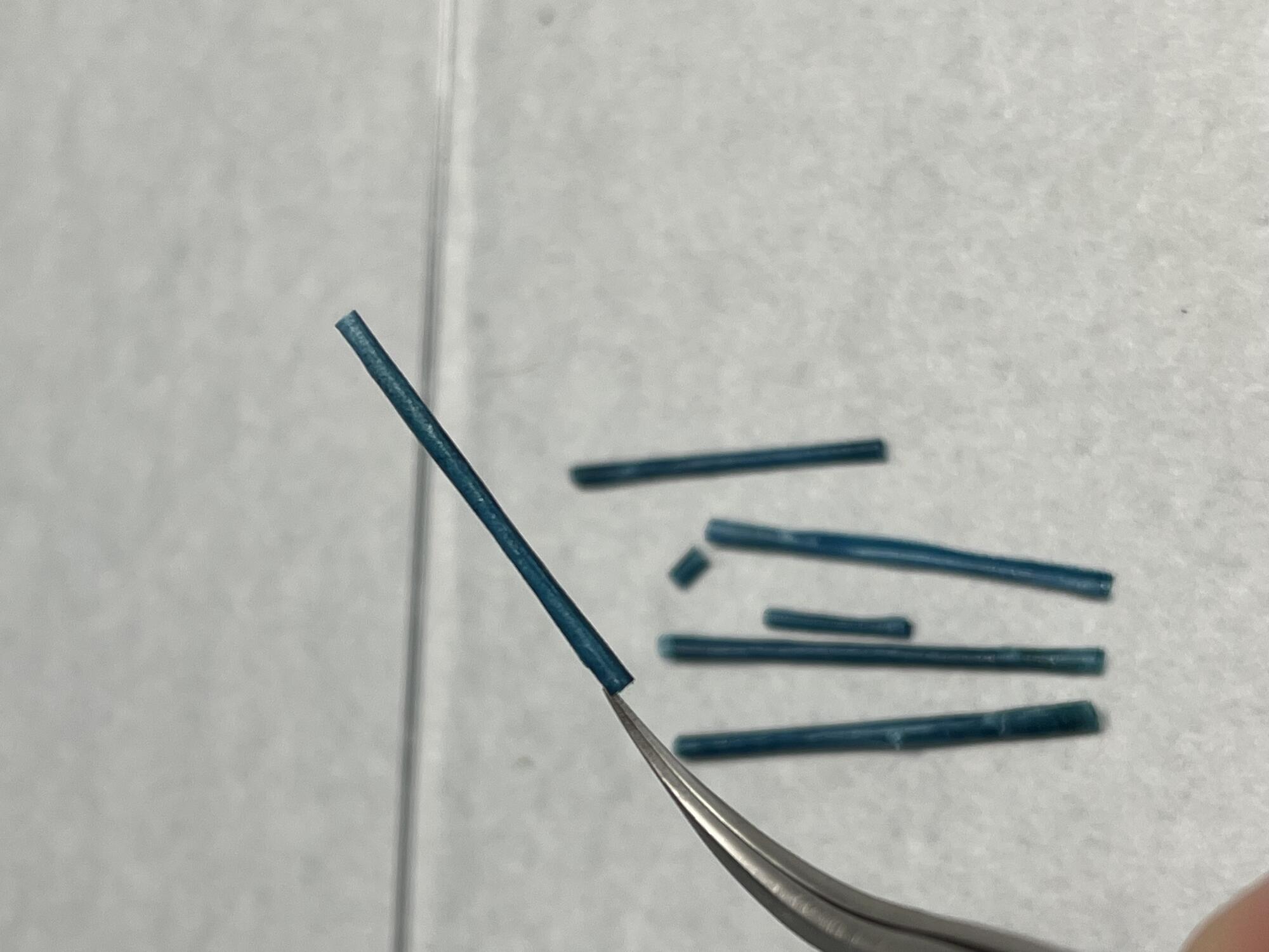 A conservator holds one of thin turquoise paper tubes with a pair of tweezers with additional paper tubes on the table below.