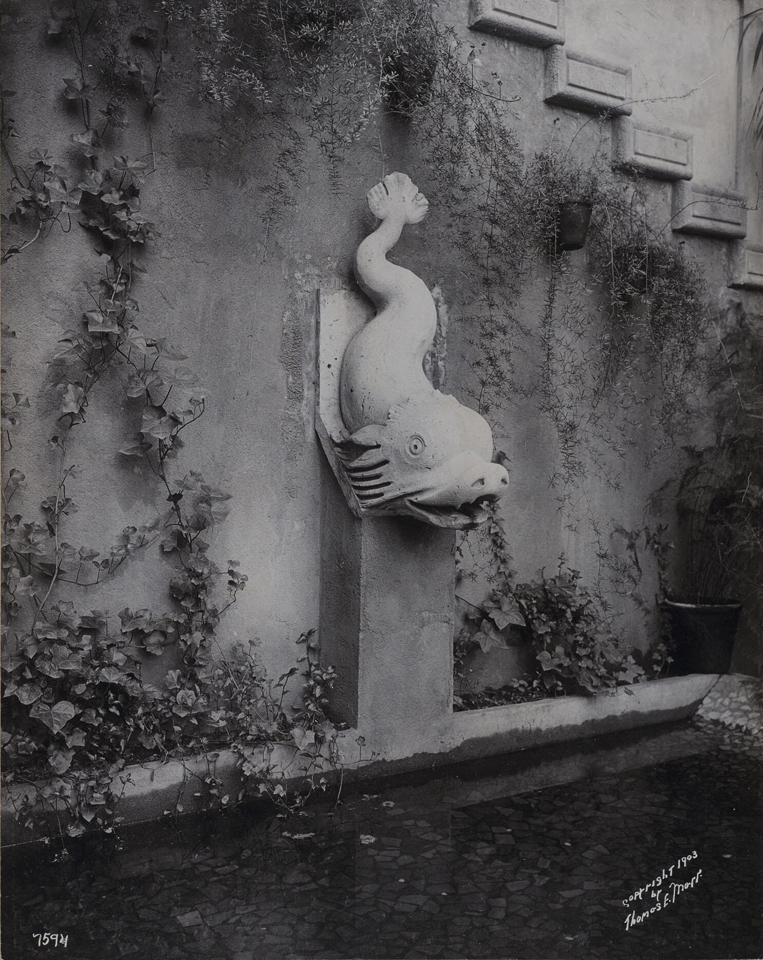 A black and white photograph