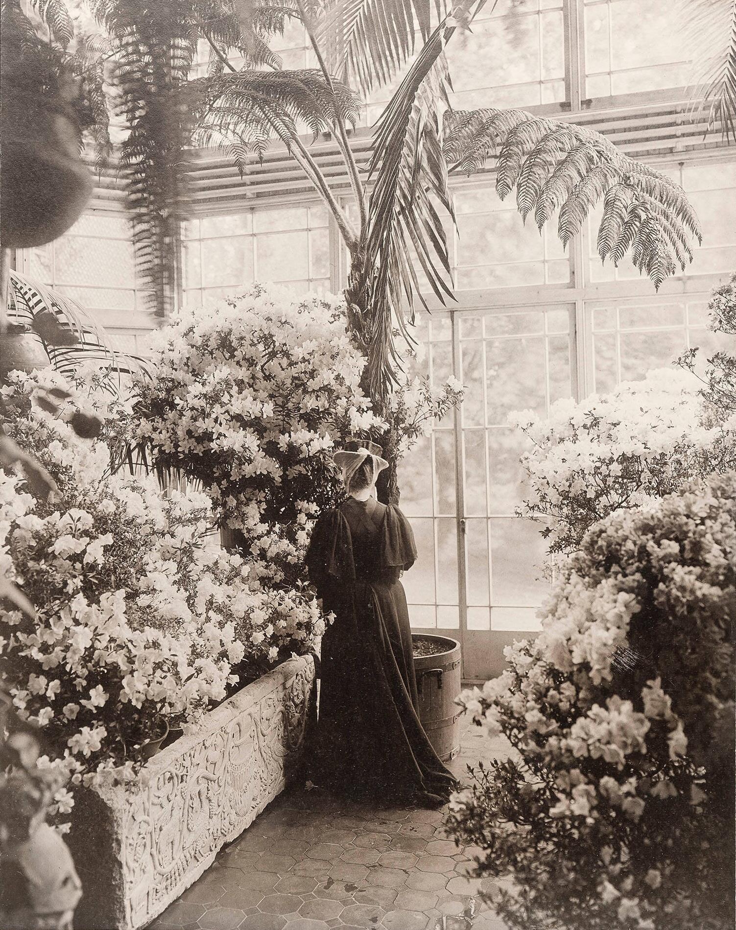 A black and white photograph with a woman standing in the middle of a glass room surrounded by plants.