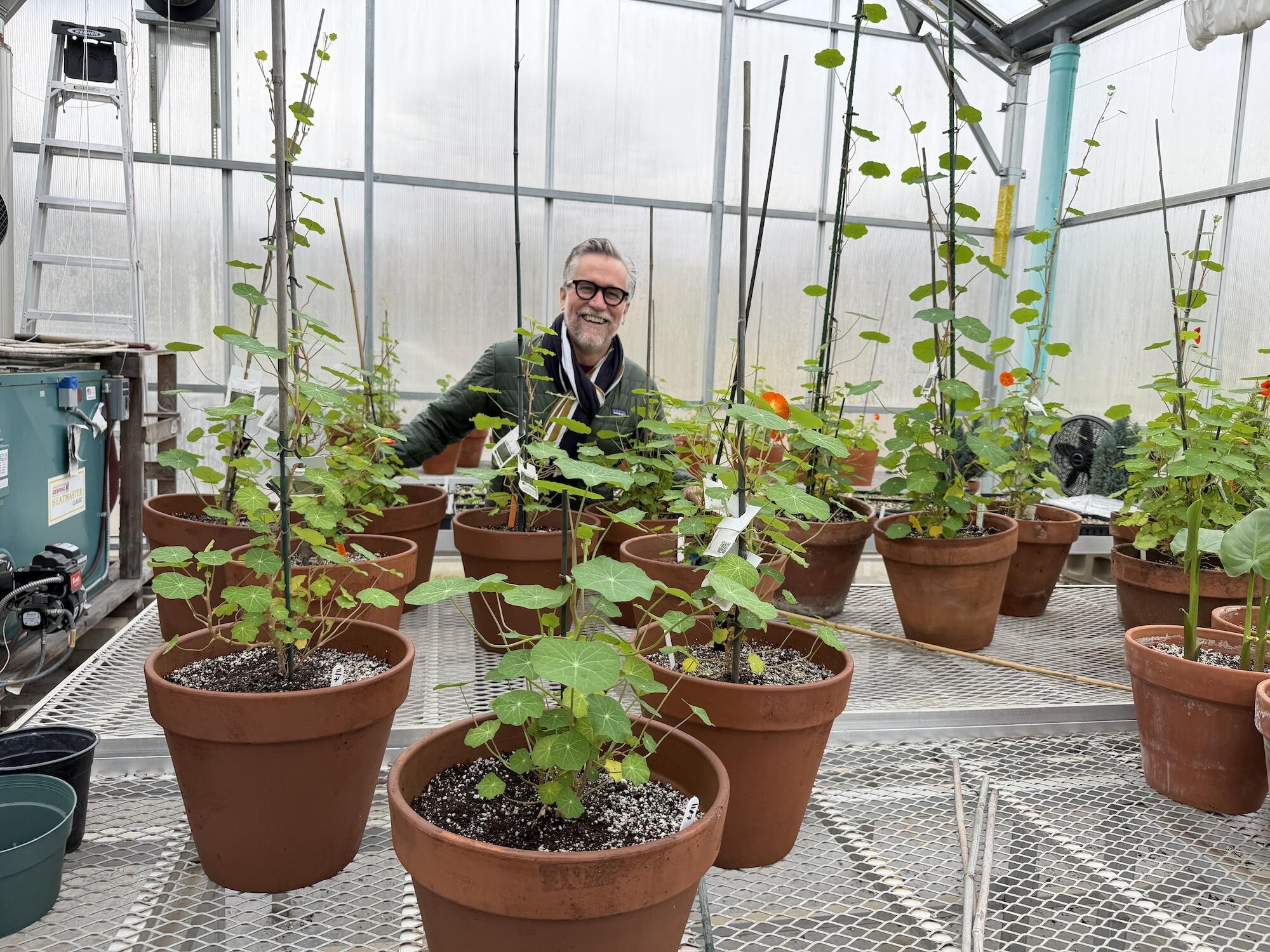 A white man with glasses and a scarf smiles while looking across a metal table covered in terracotta pots filled with young nasturtium plants.