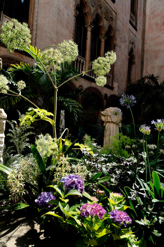 Purple and green flouers in a stone courtyard