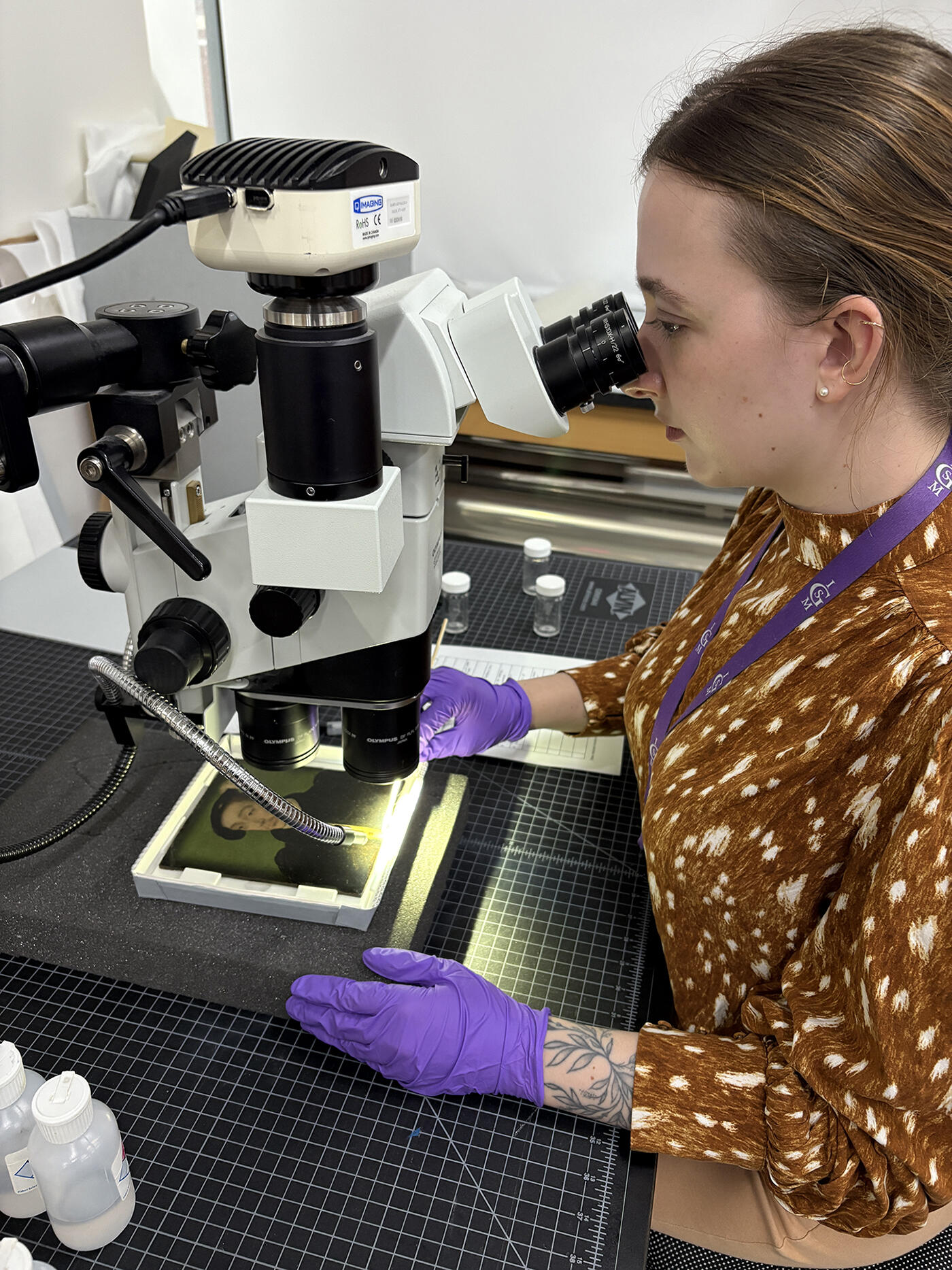 Young woman sitting at a table looking through a stereomicroscope at the painting of the Dauphin. 