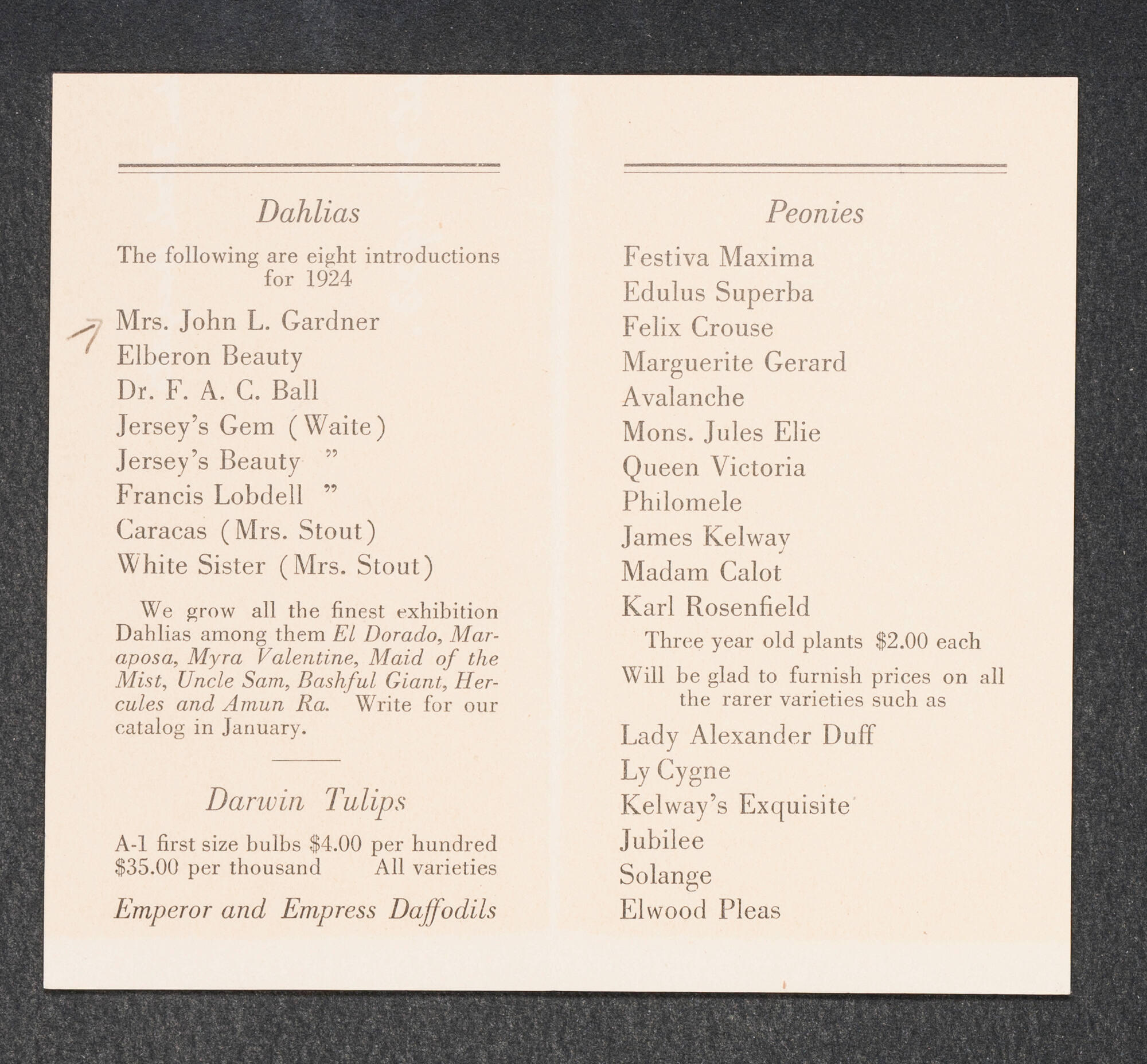 A printed list of new flower varieties in black ink on off-white paper.