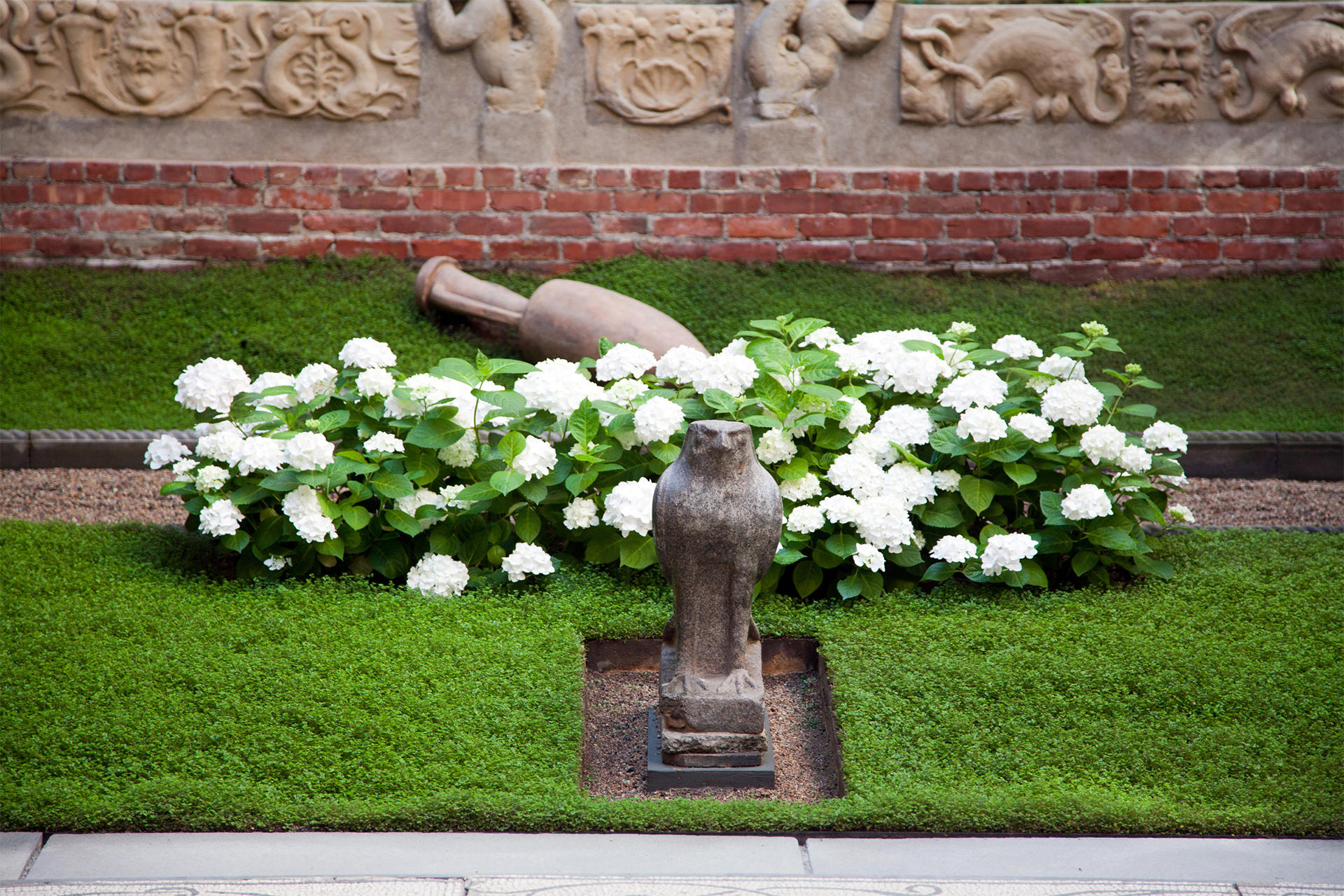 Hydrangeas in the courtyard of the Isabella Stewart Gardner Museum.