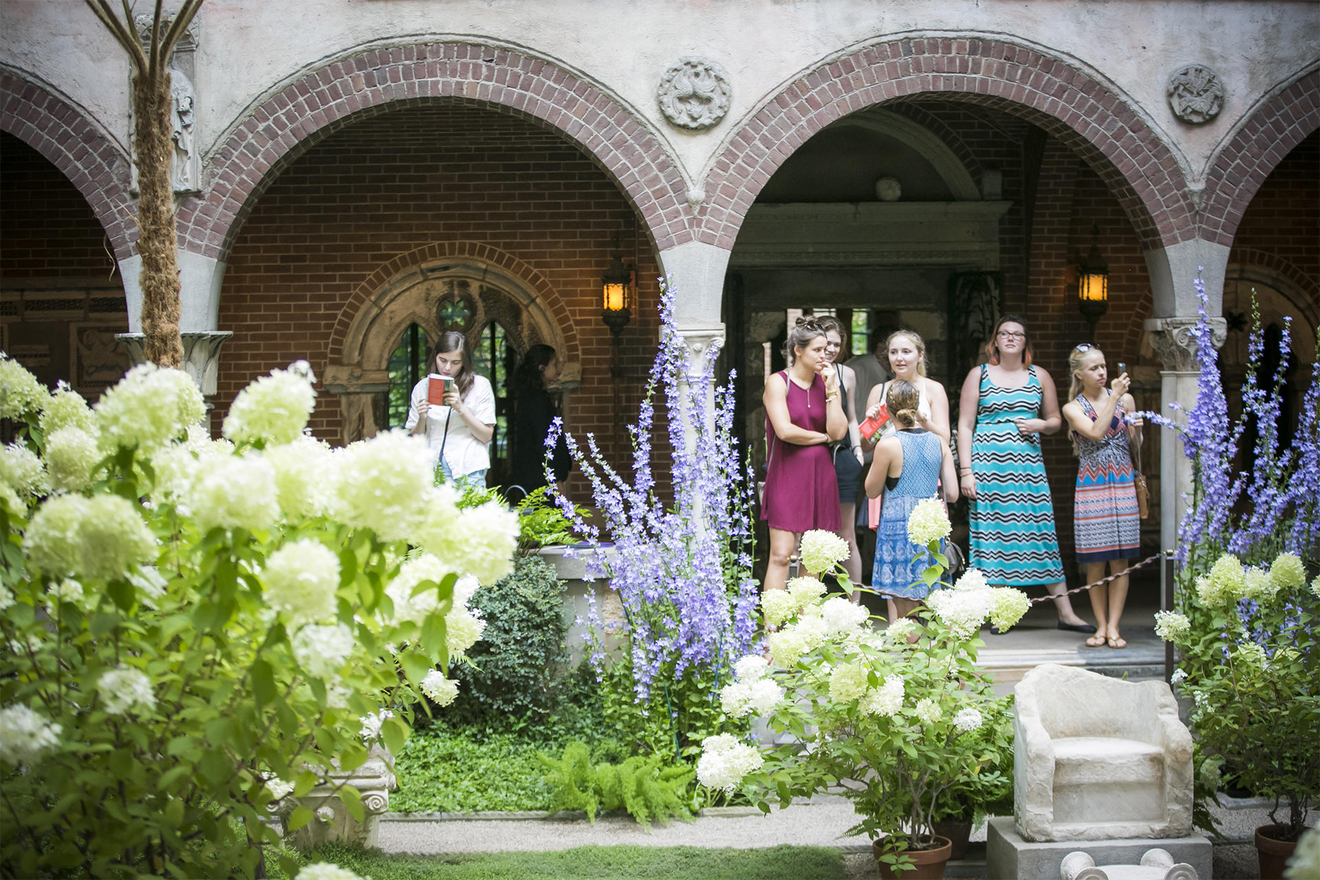 Bellflowers in the Courtyard at the Isabella Stewart Gardner Museum