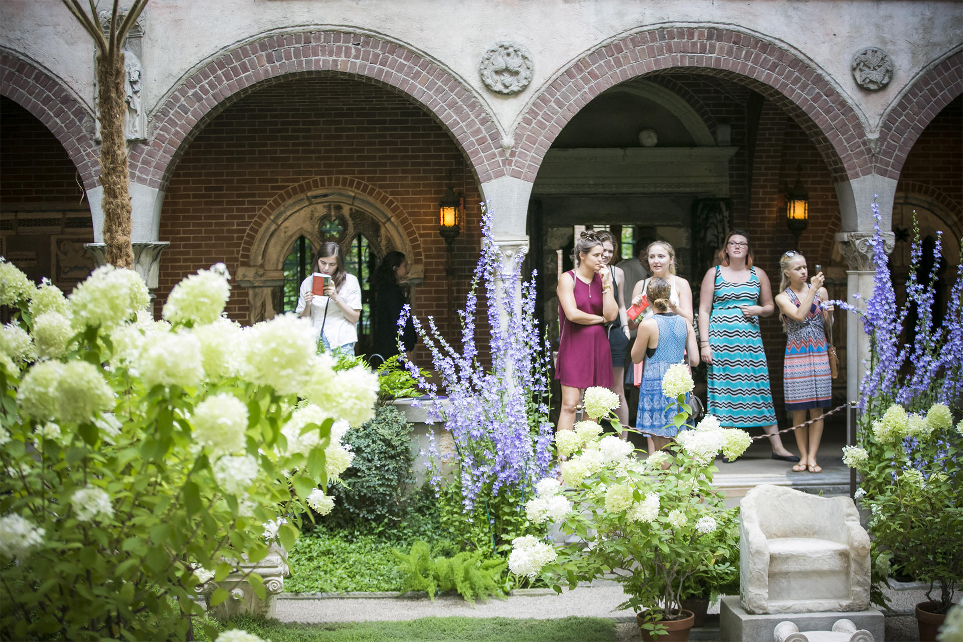 Bellflowers in the Courtyard at the Isabella Stewart Gardner Museum