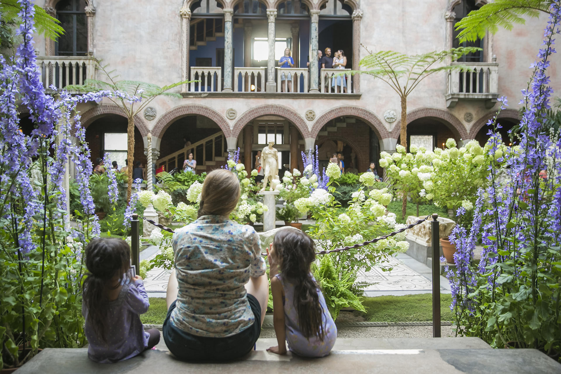Bellflowers in the Courtyard at the Isabella Stewart Gardner Museum.