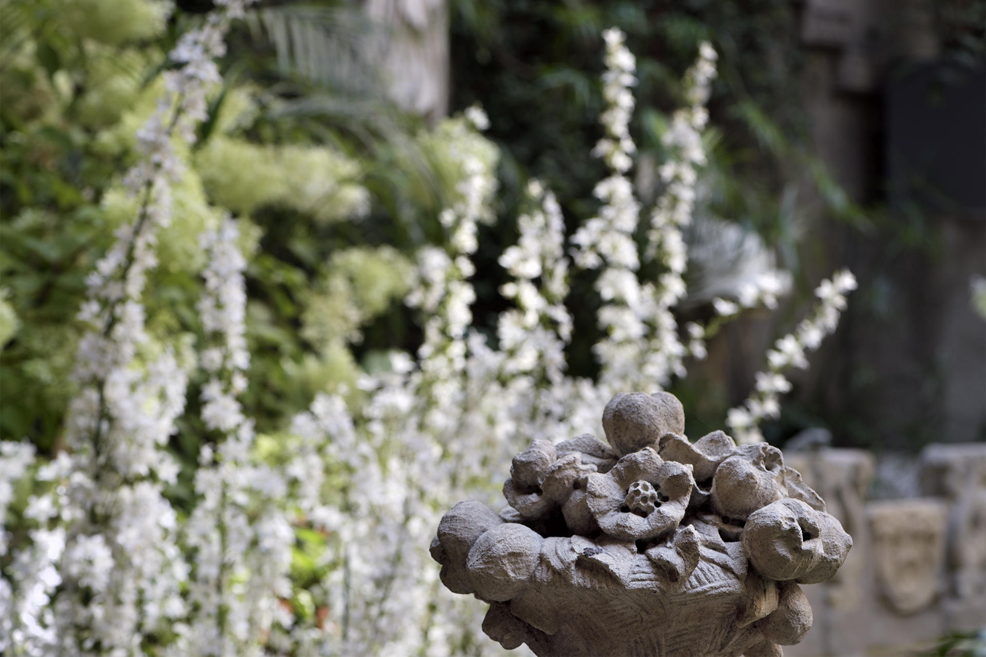 Bellflowers in the Courtyard of the Isabella Stewart Gardner Museum.