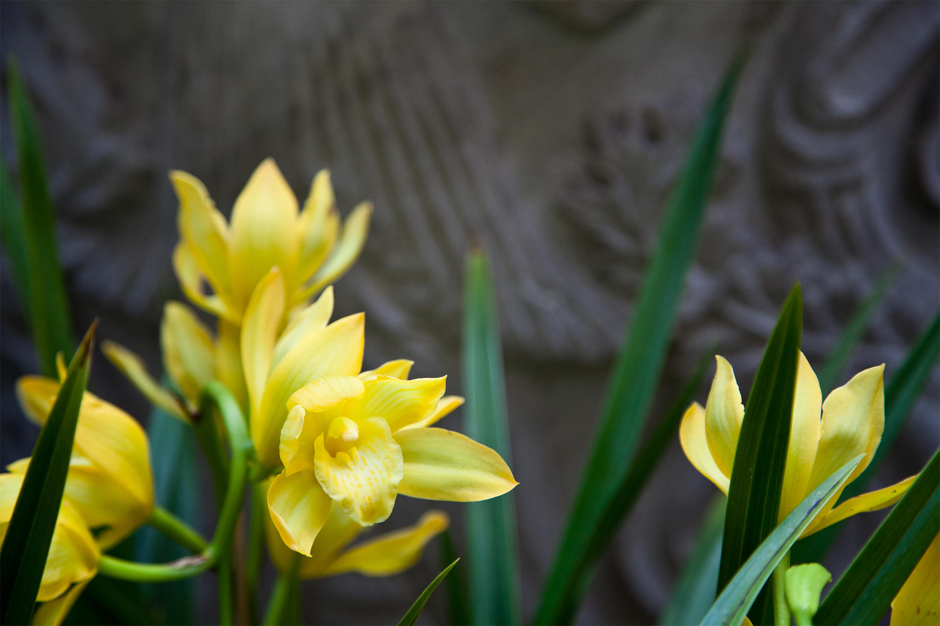 Midwinter Tropics courtyard display at the Isabella Stewart Gardner Museum.