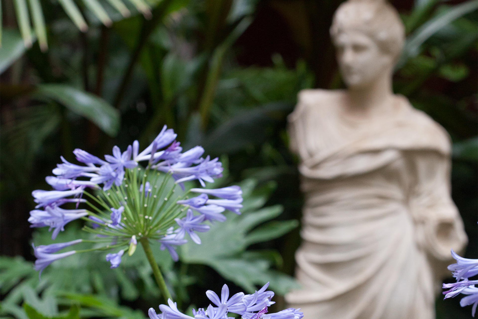 Summer Blues courtyard display at the Isabella Stewart Gardner Museum.