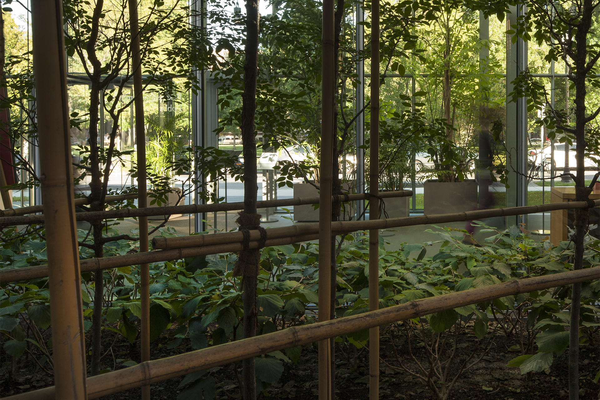 Exterior Lynch Garden at the Isabella Stewart Gardner Museum.