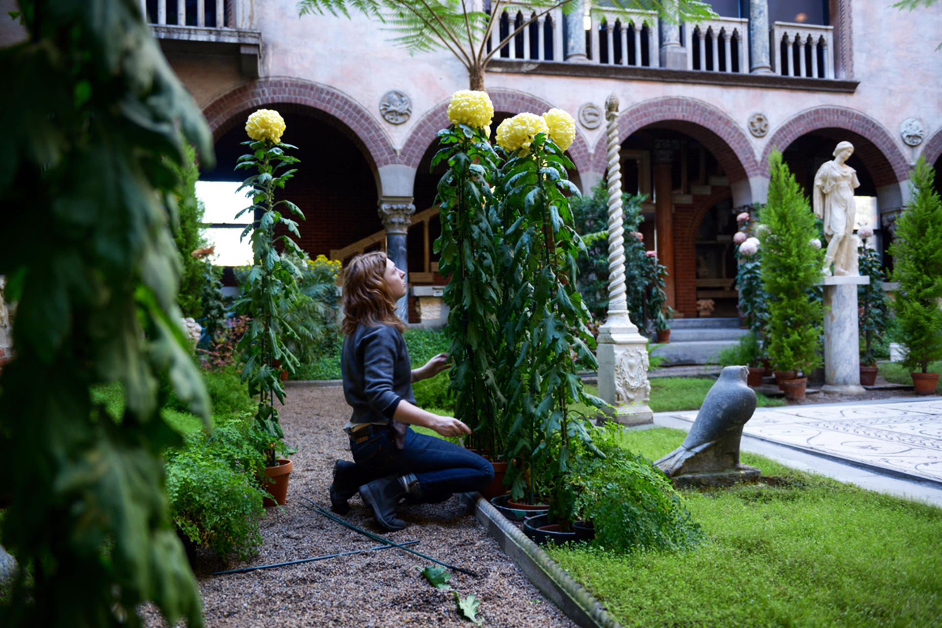 A member of our horticulture staff in the courtyard