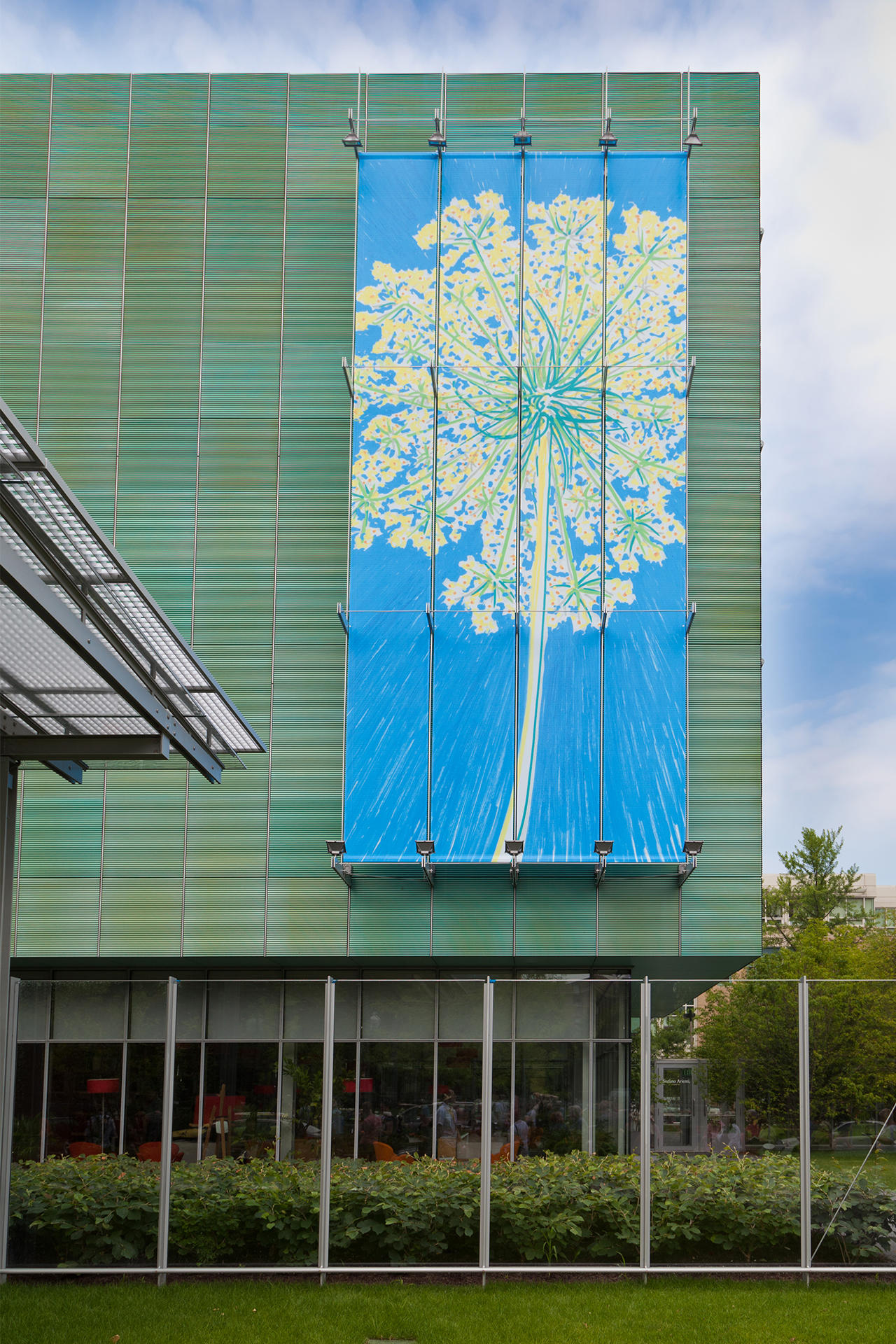 Stefano Arienti: Wild Carrot on the Anne H. Fitzpatrick Façade on Evans Way