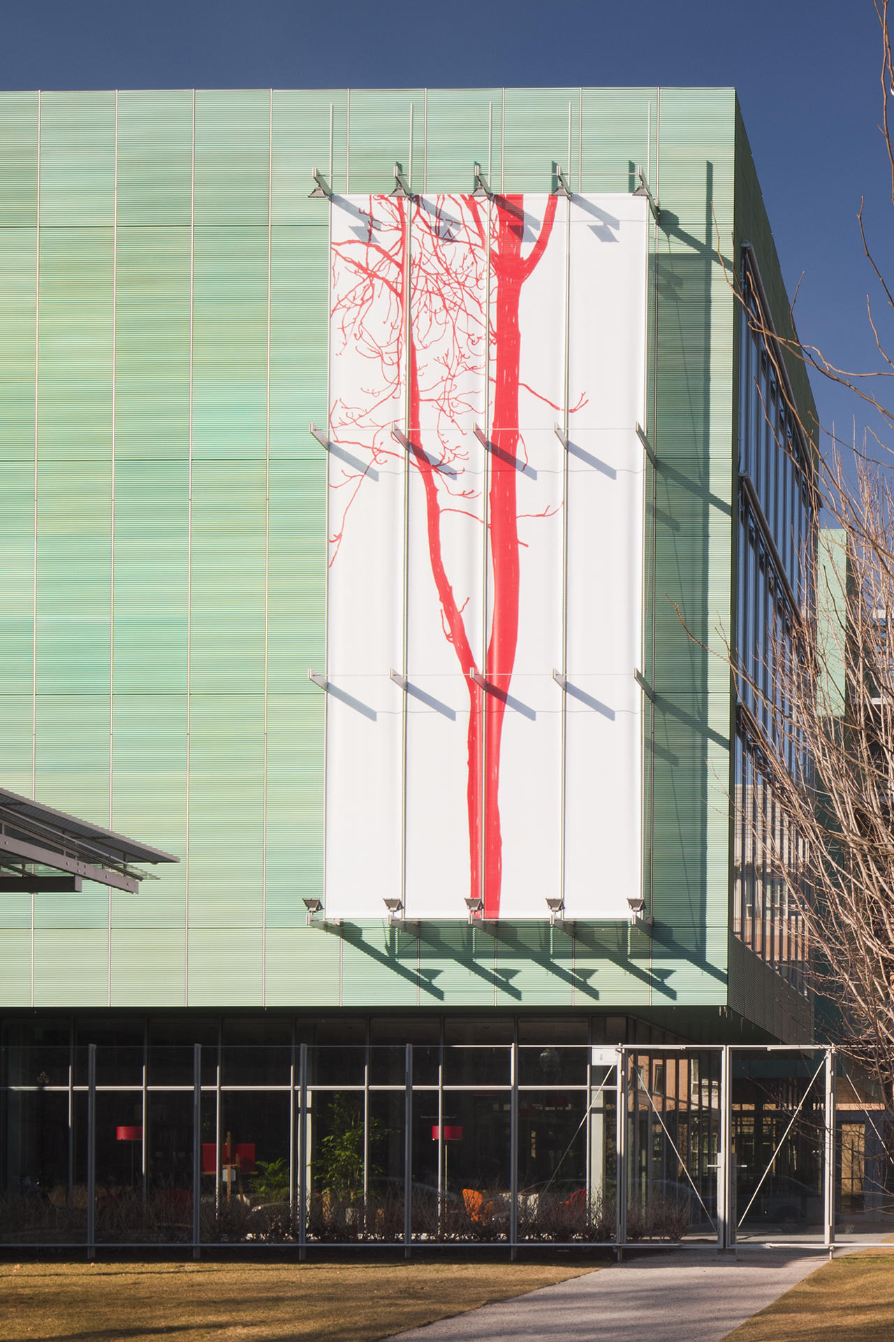 Stefano Arienti: Ailanthus on the Anne H. Fitzpatrick Façade on Evans Way