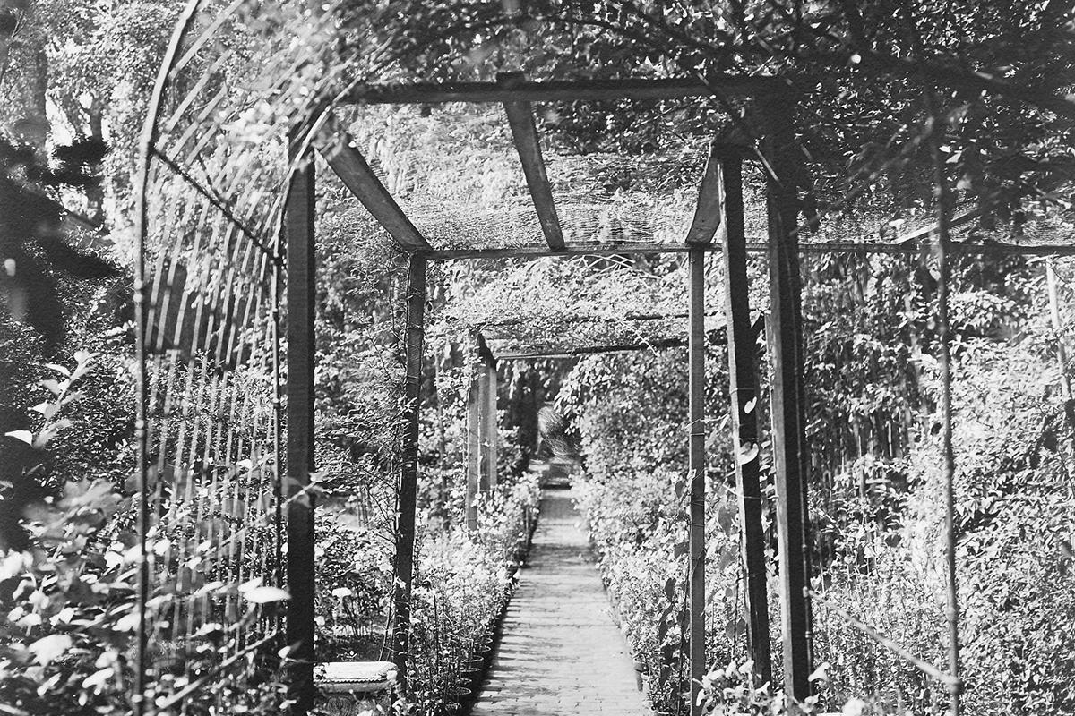 Exterior Monk's Garden at the Isabella Stewart Gardner Museum.